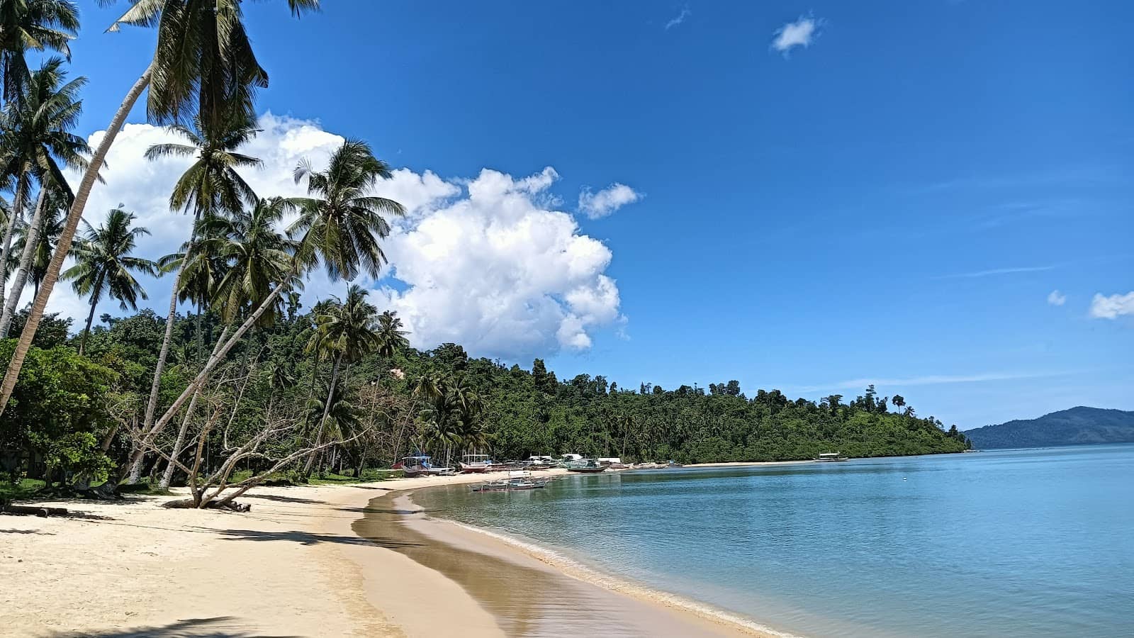 Coconut Beach (Pig Beach)