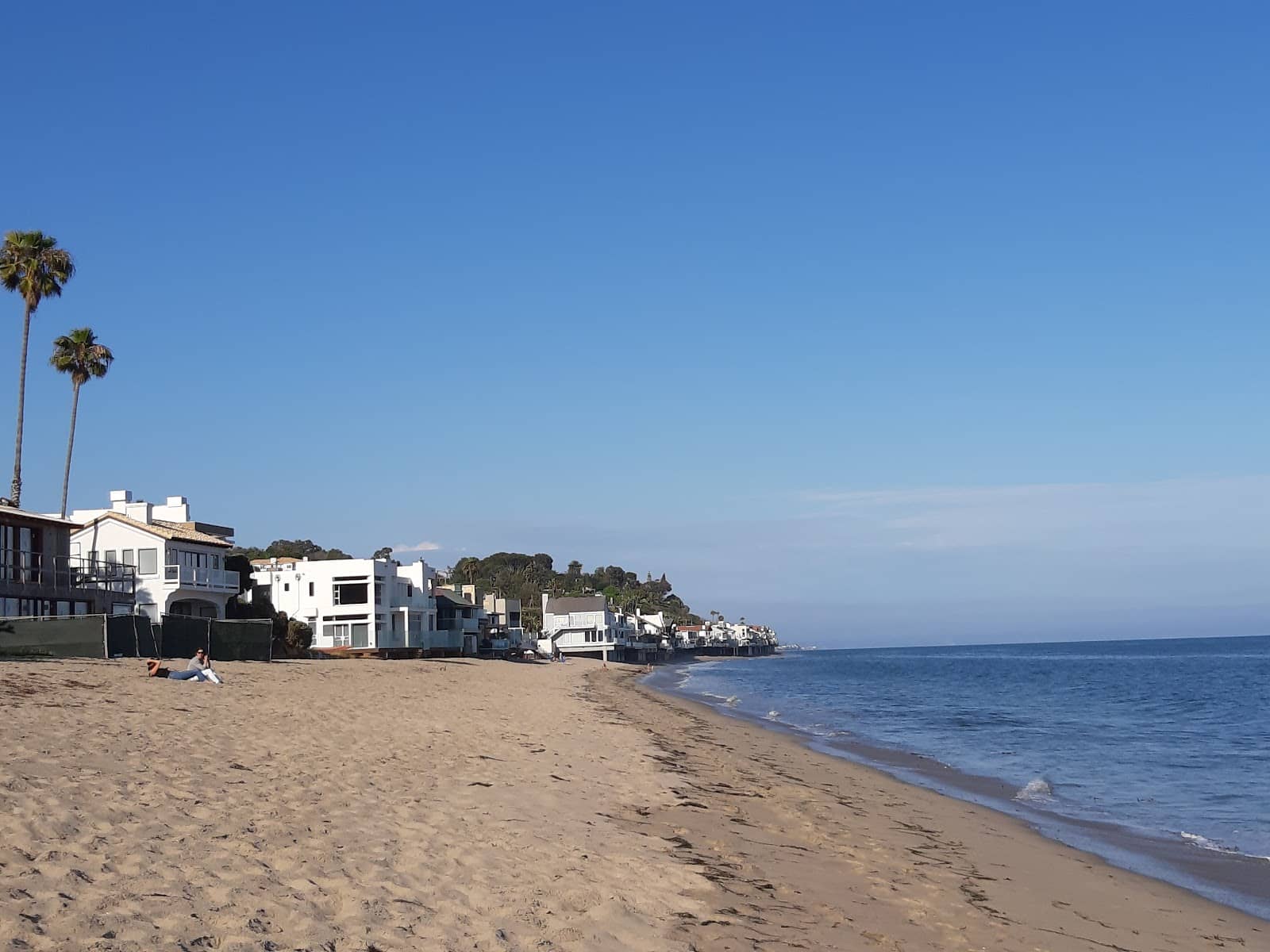 Dog-Friendly Farewell