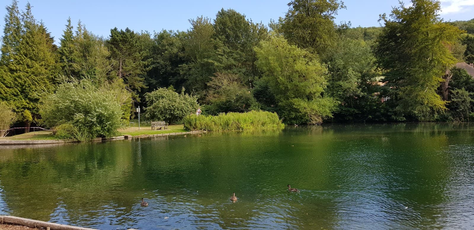 Bushy Ruff Country Park - Image 1