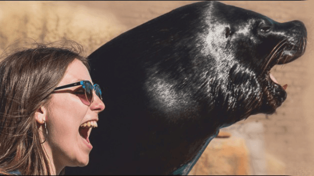 Mar del Plata Aquarium - Image 1