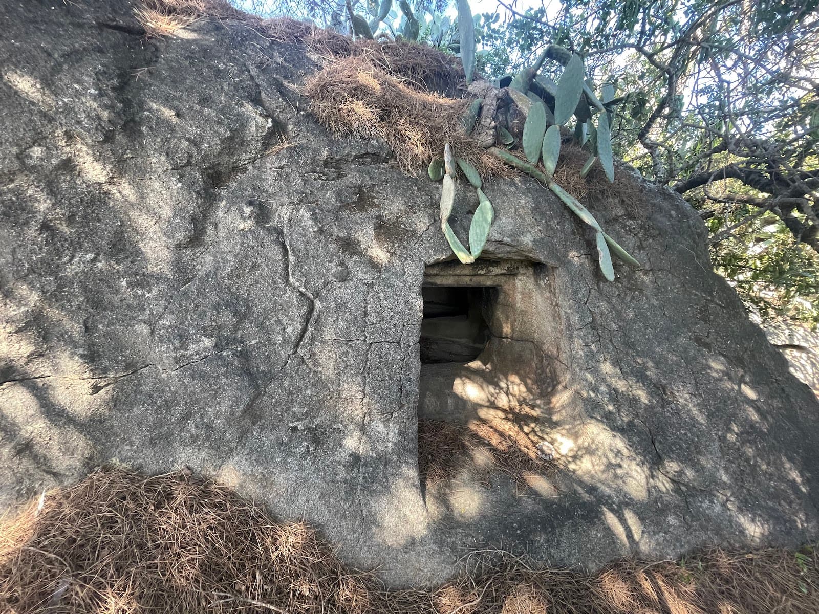 Domus de Janas di Monte Terli - Image 1