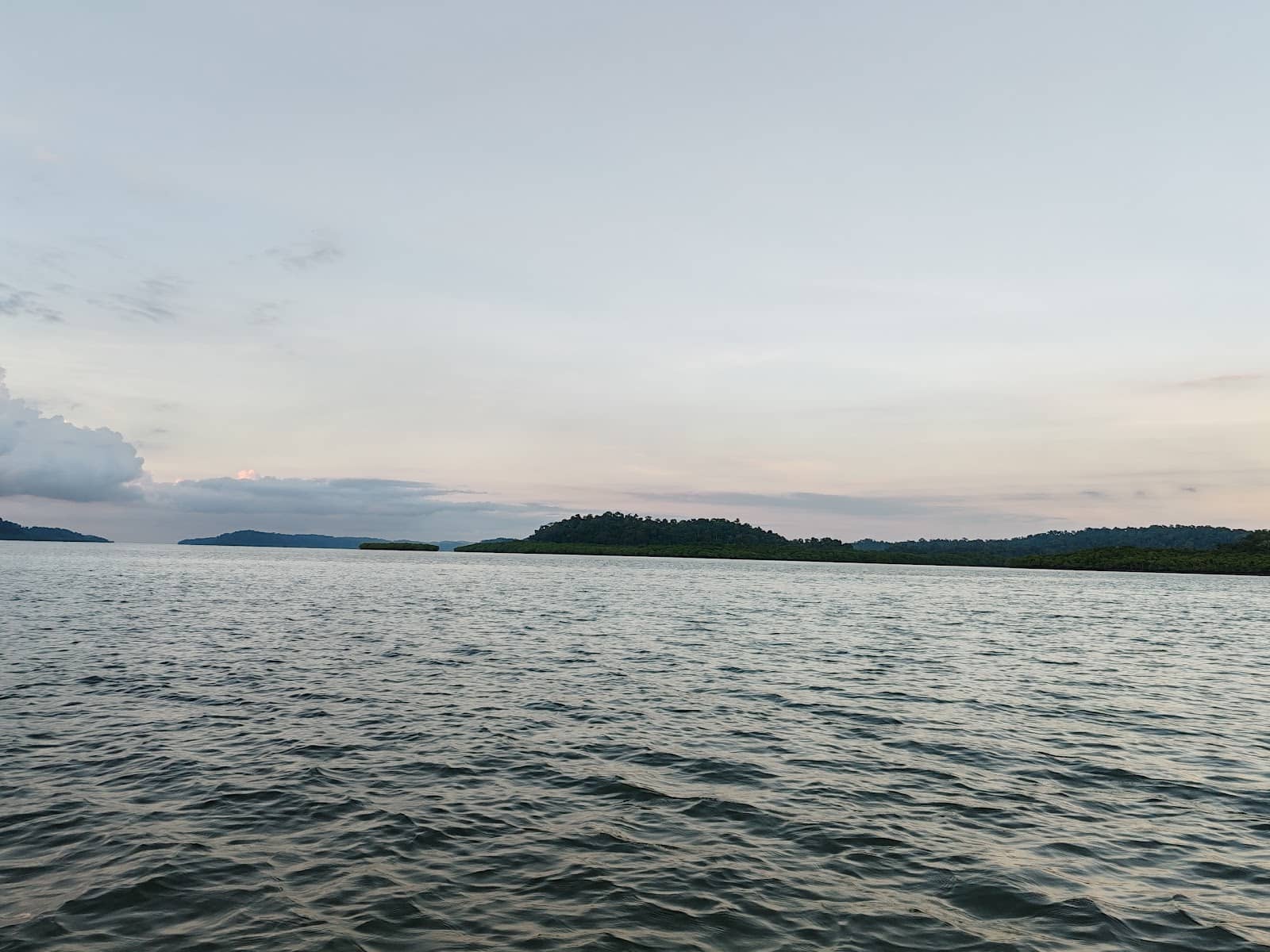 Stargazing Opportunity