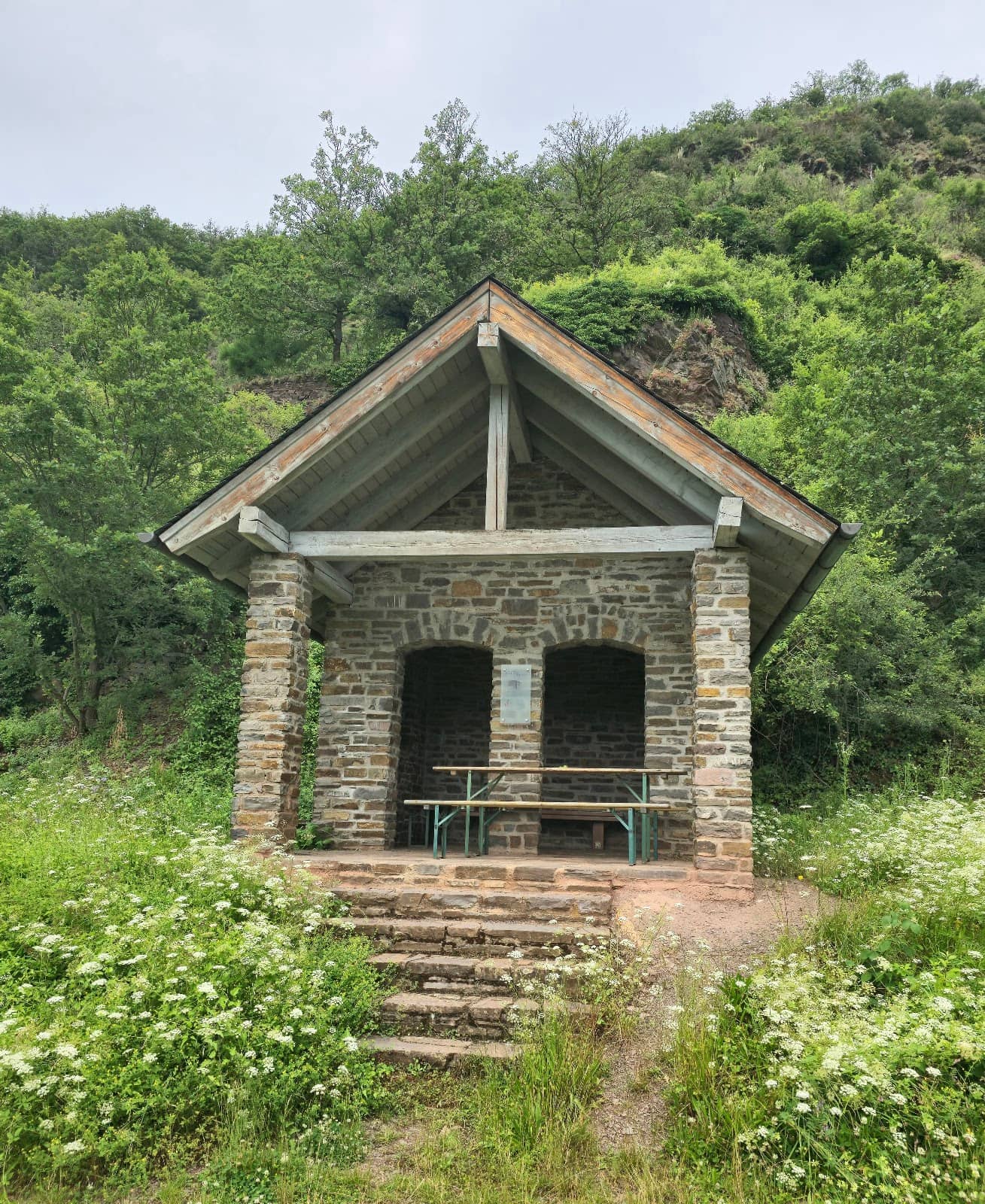 Hike from Cochem-Cond to Valwig