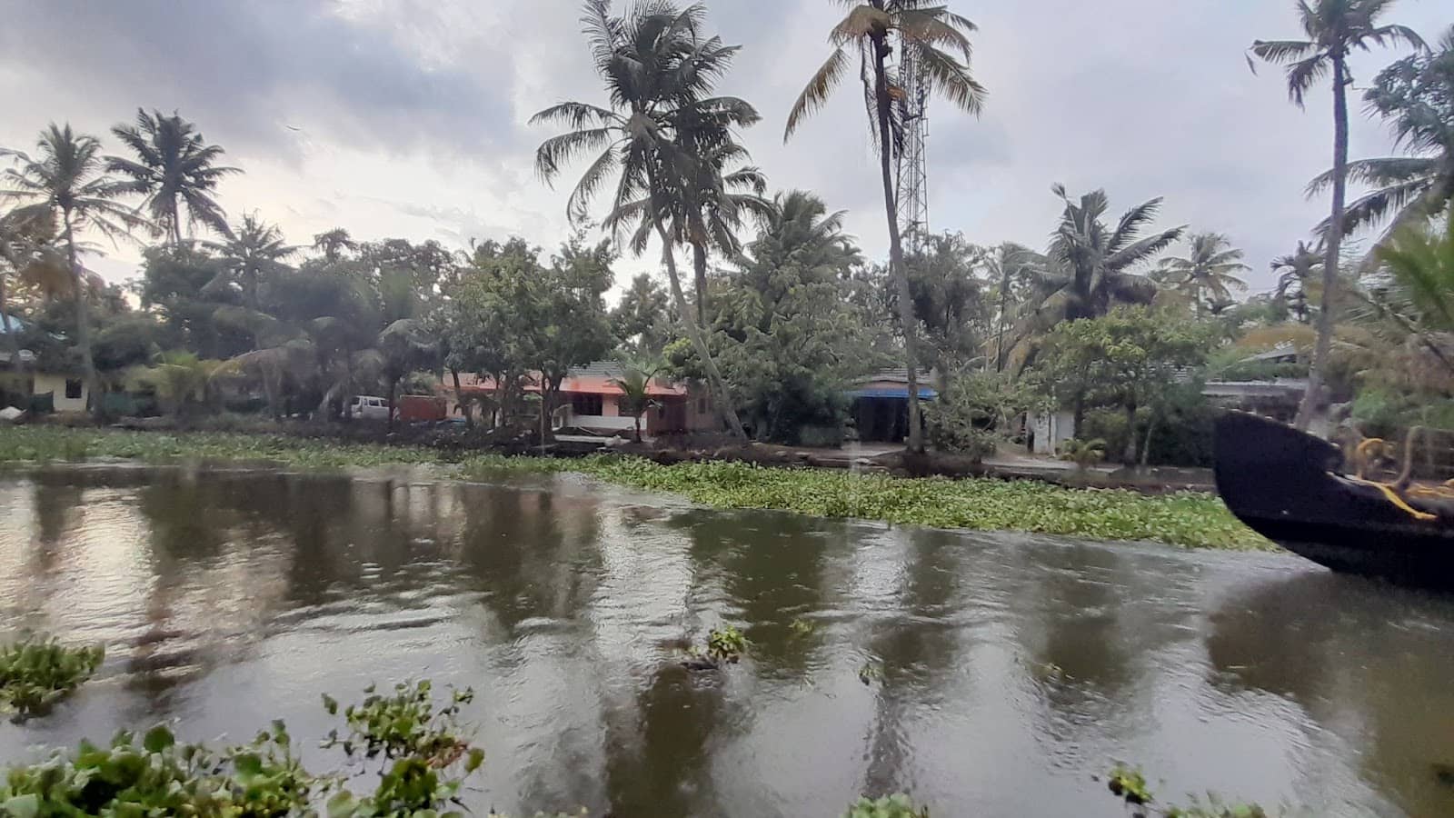 Local Life Observation