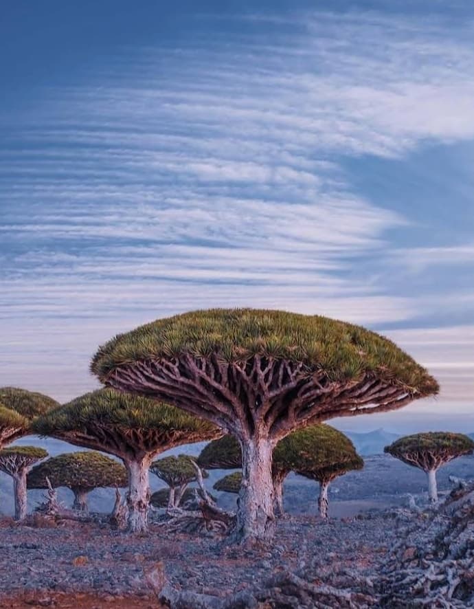 Ras Erissel - Image 1