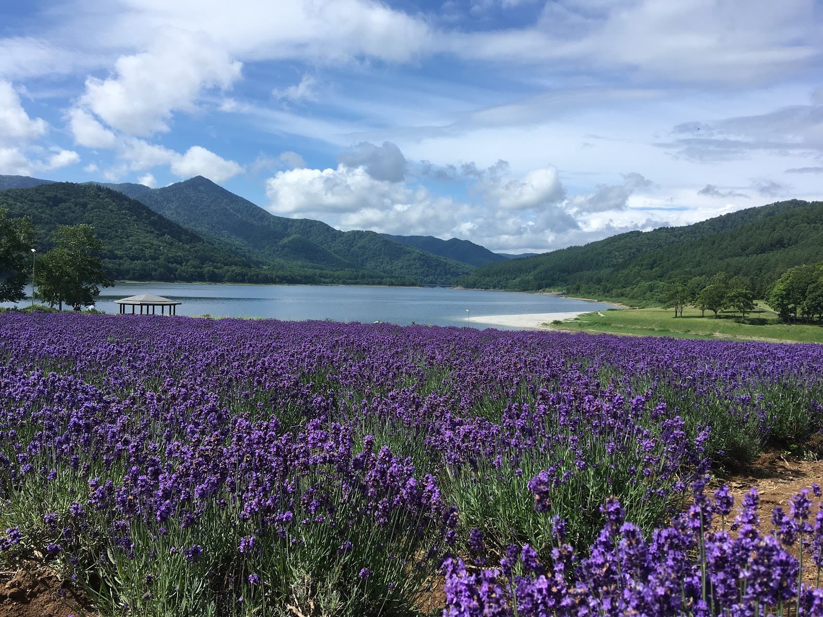 Lake Kanayama - Image 1