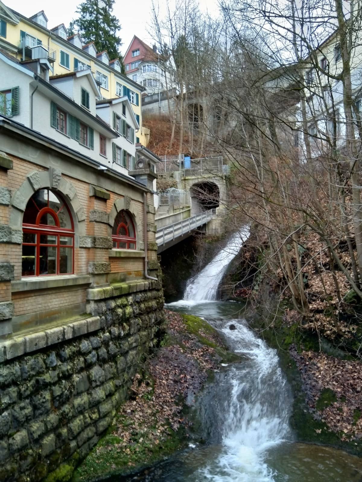 Vertical photo
