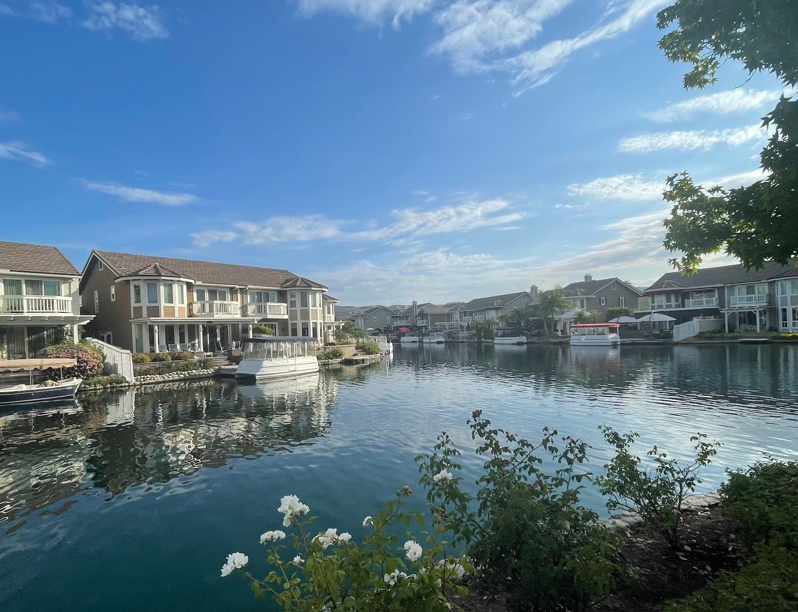 East Lake Village Lake - Image 1