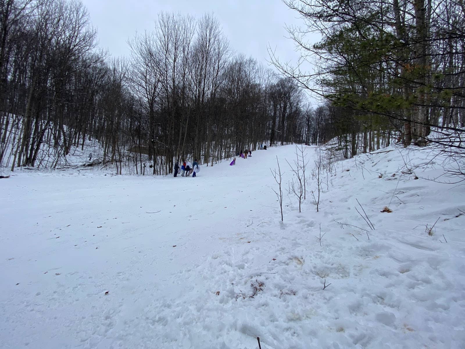 Scenic Walking Trails