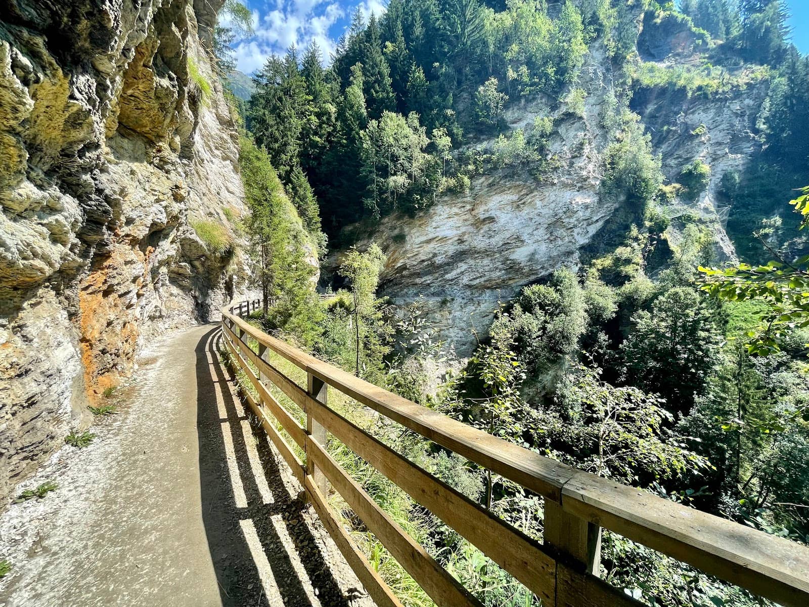 Vertical photo