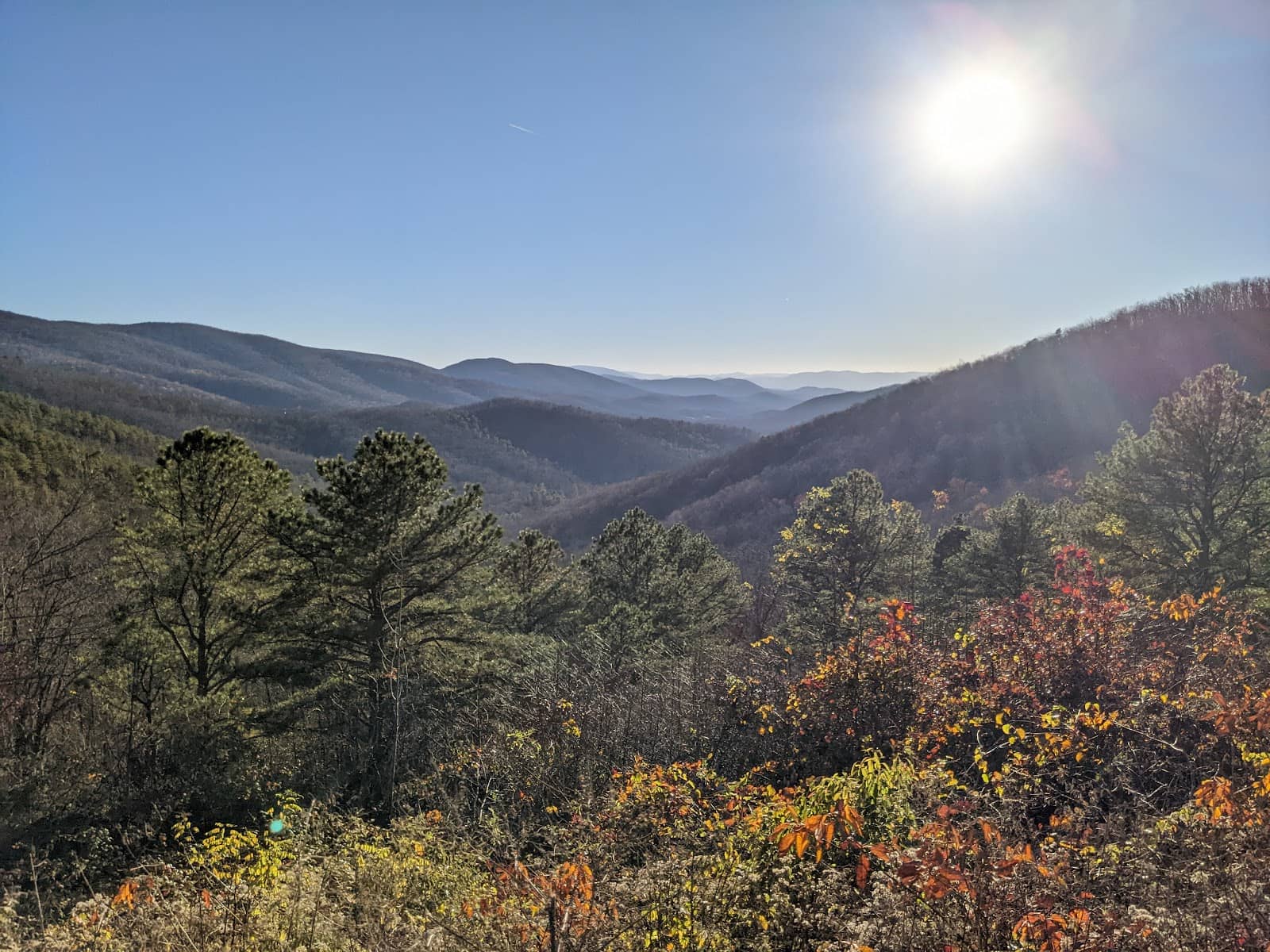 Autumn Foliage Spectacle