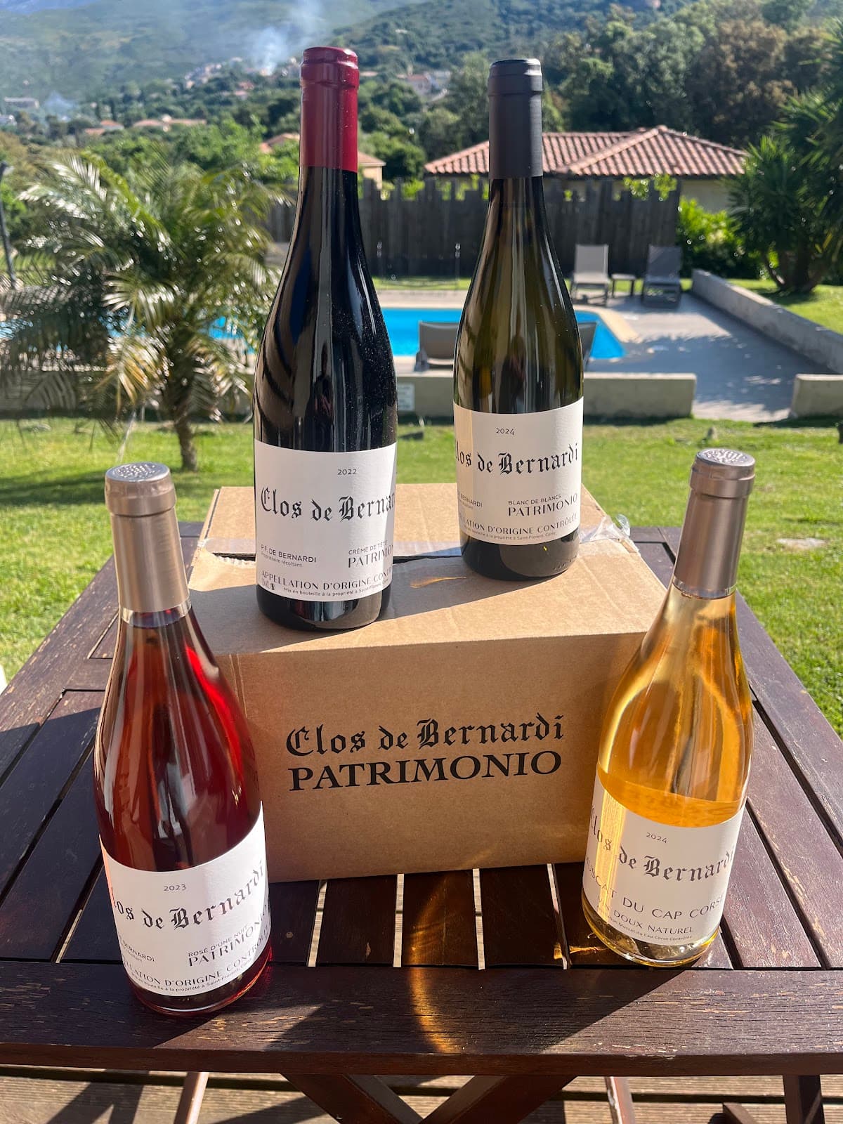 Patrimonio Vineyards - Image 1