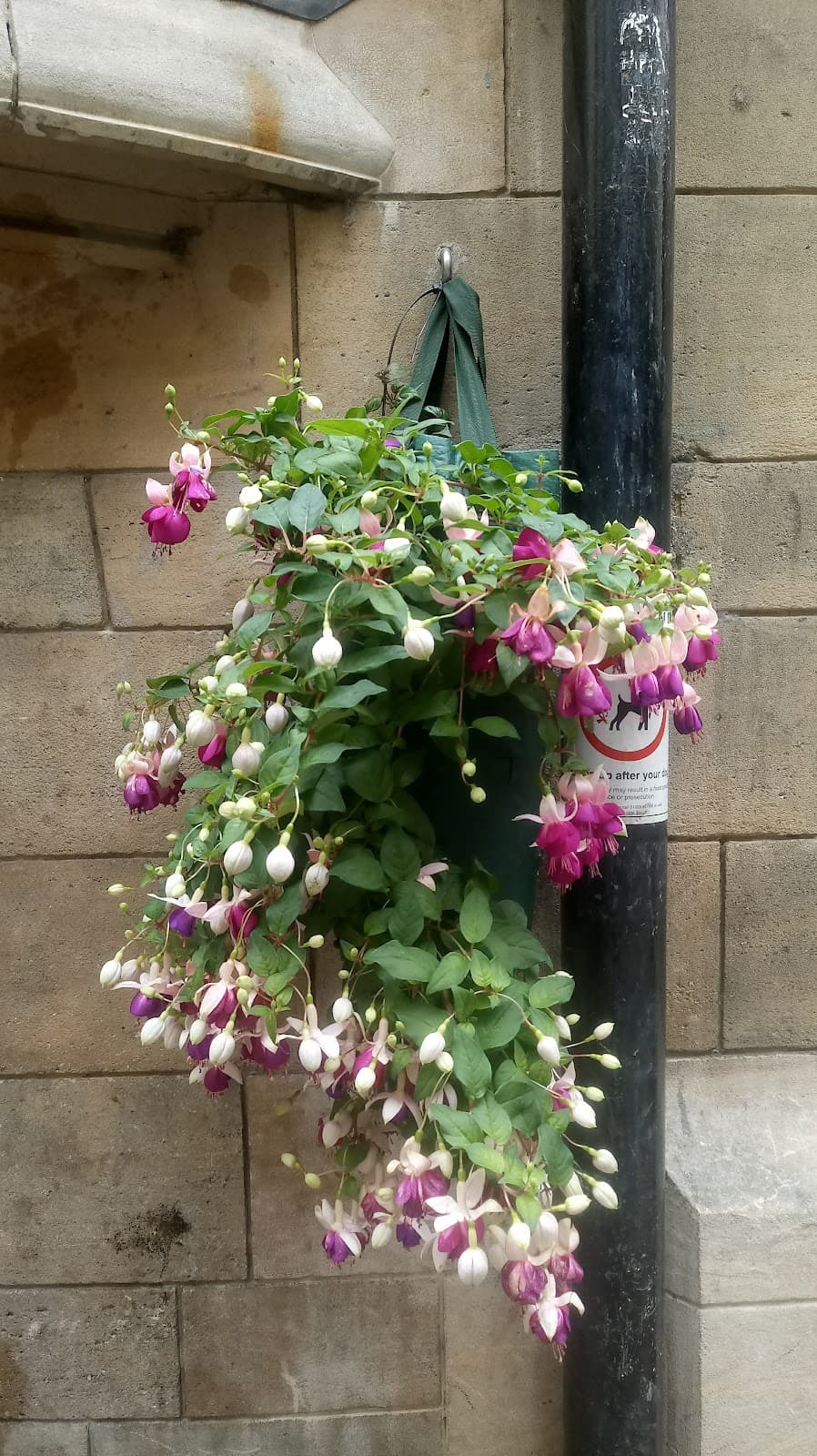 Cambridge London - Image 1