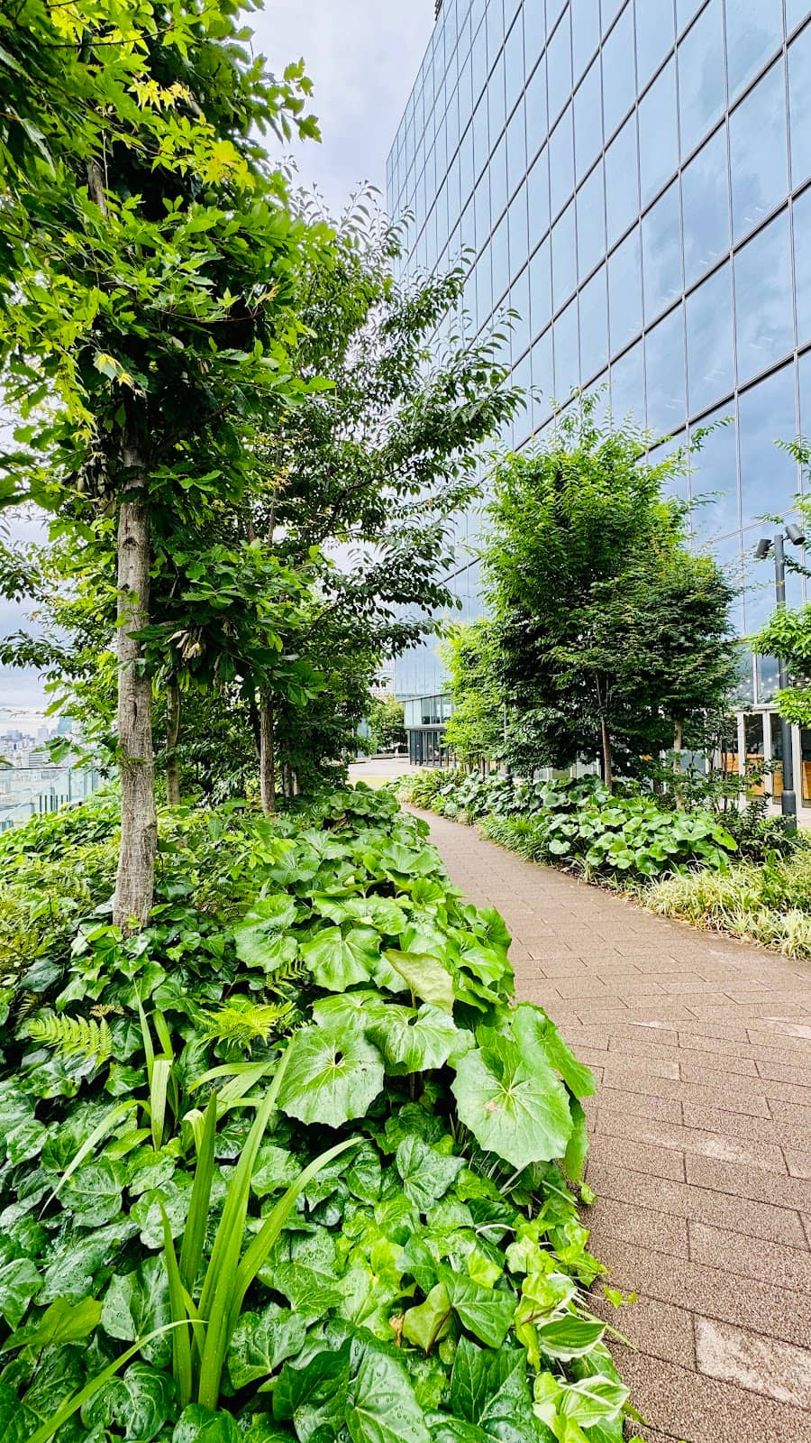 Peaceful Garden Escape