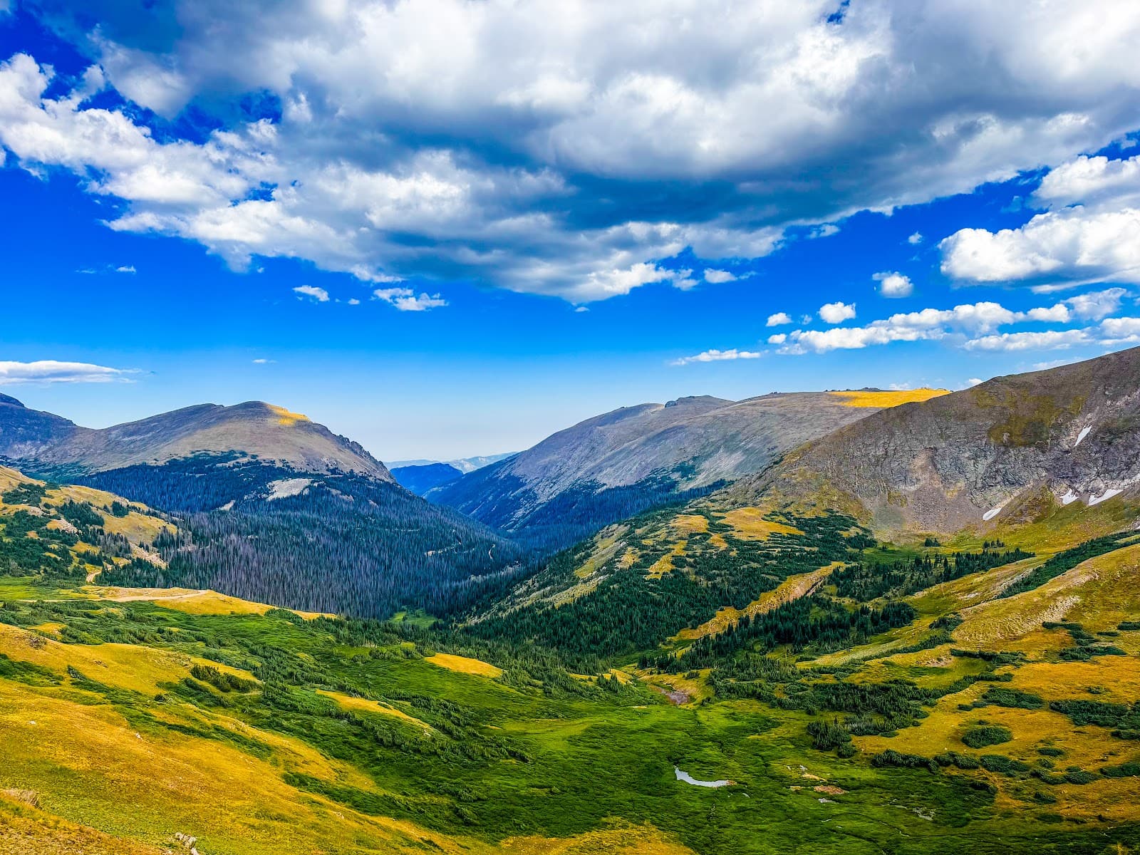 Alpine Ridge Trail - Image 1