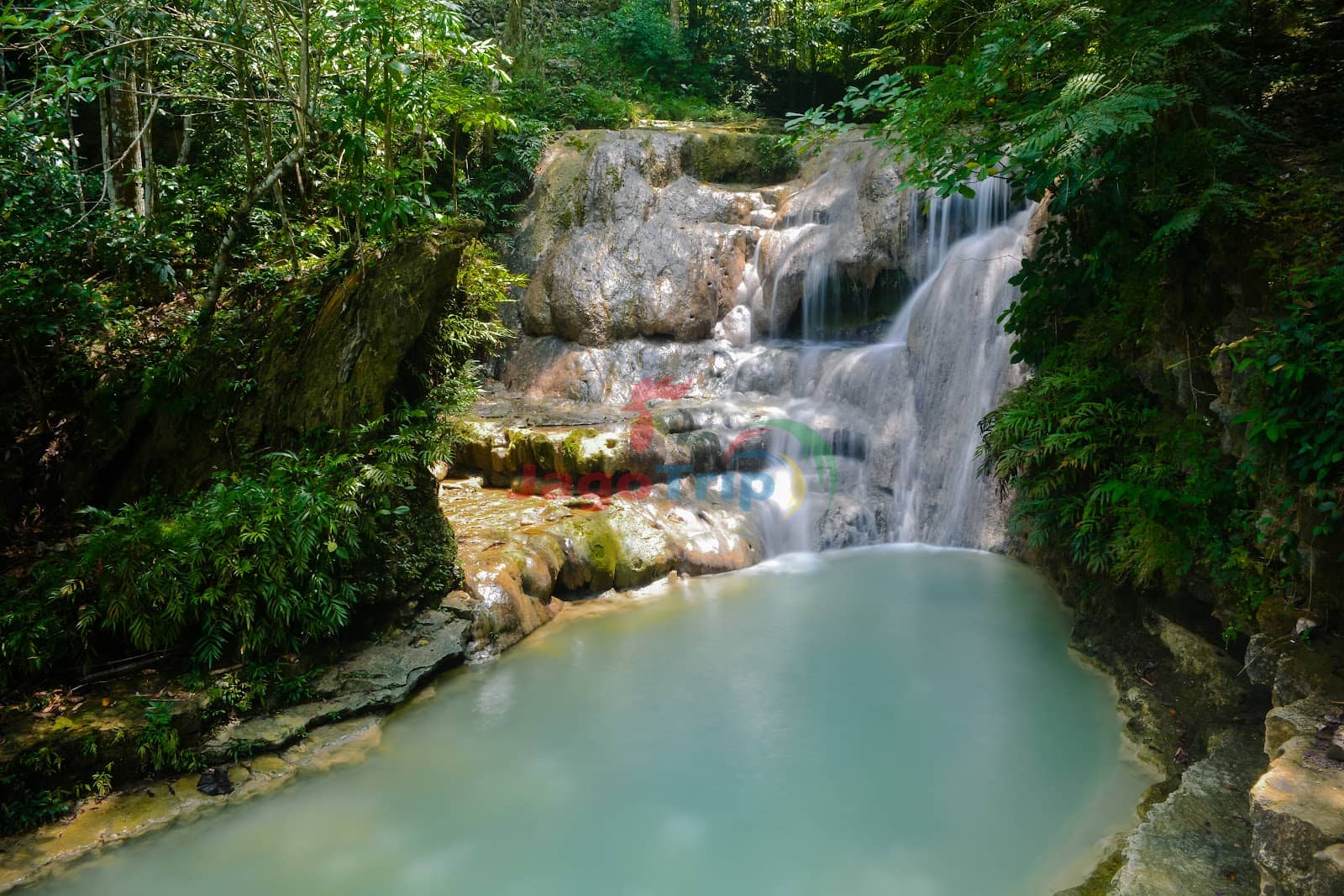 Nature's Serene Ambiance