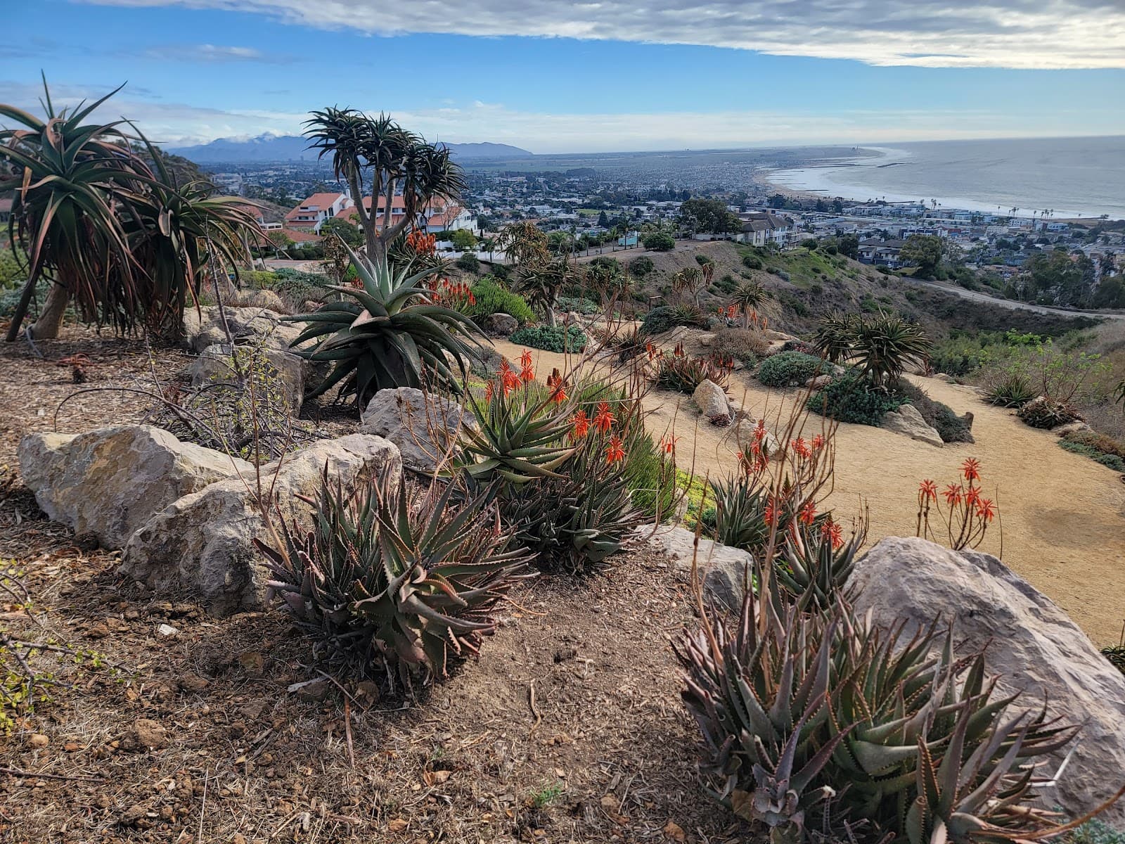 Ventura Botanical Gardens - Image 1
