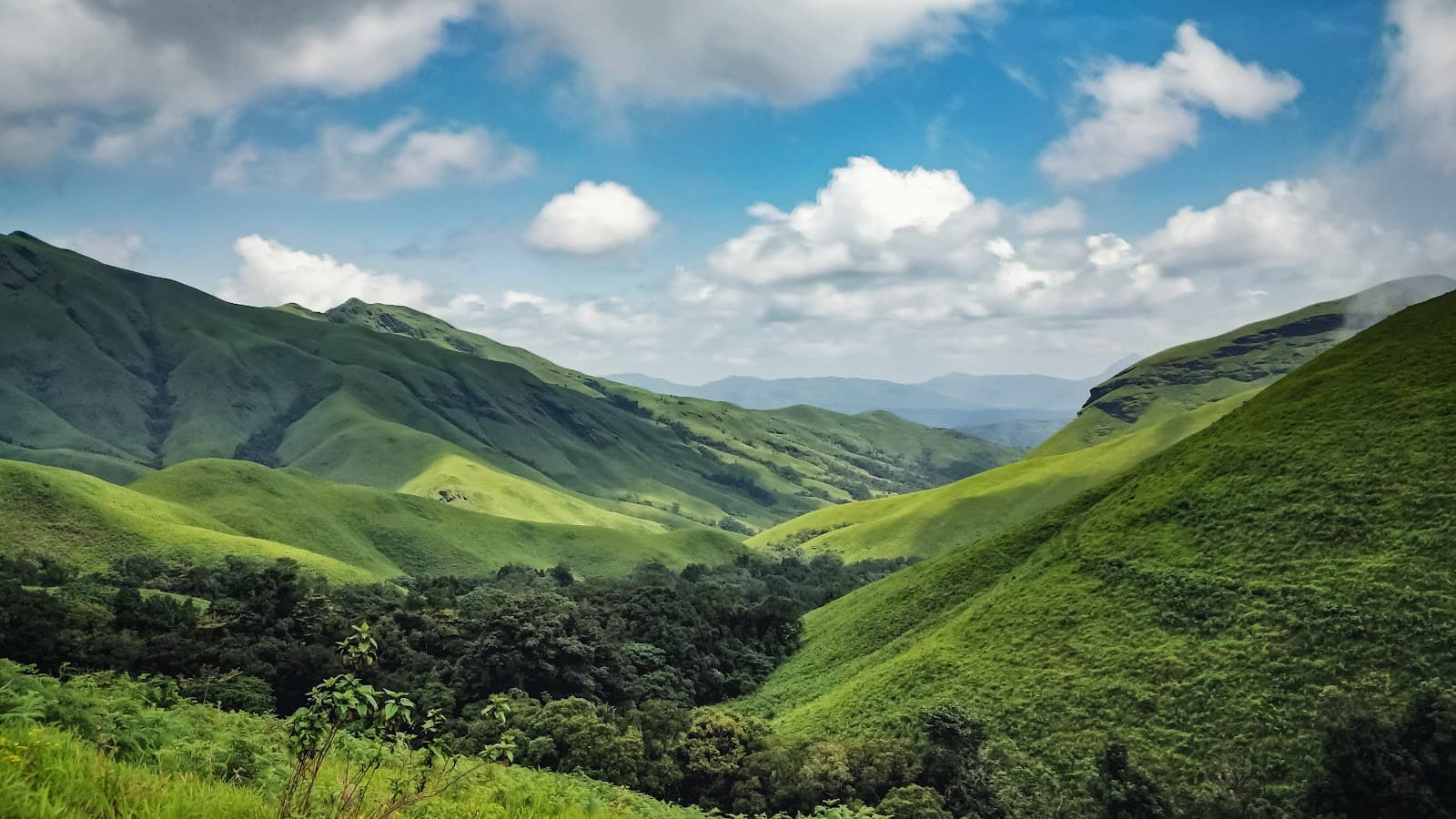 Kudremukh Peak Trek Mullodi - Image 1
