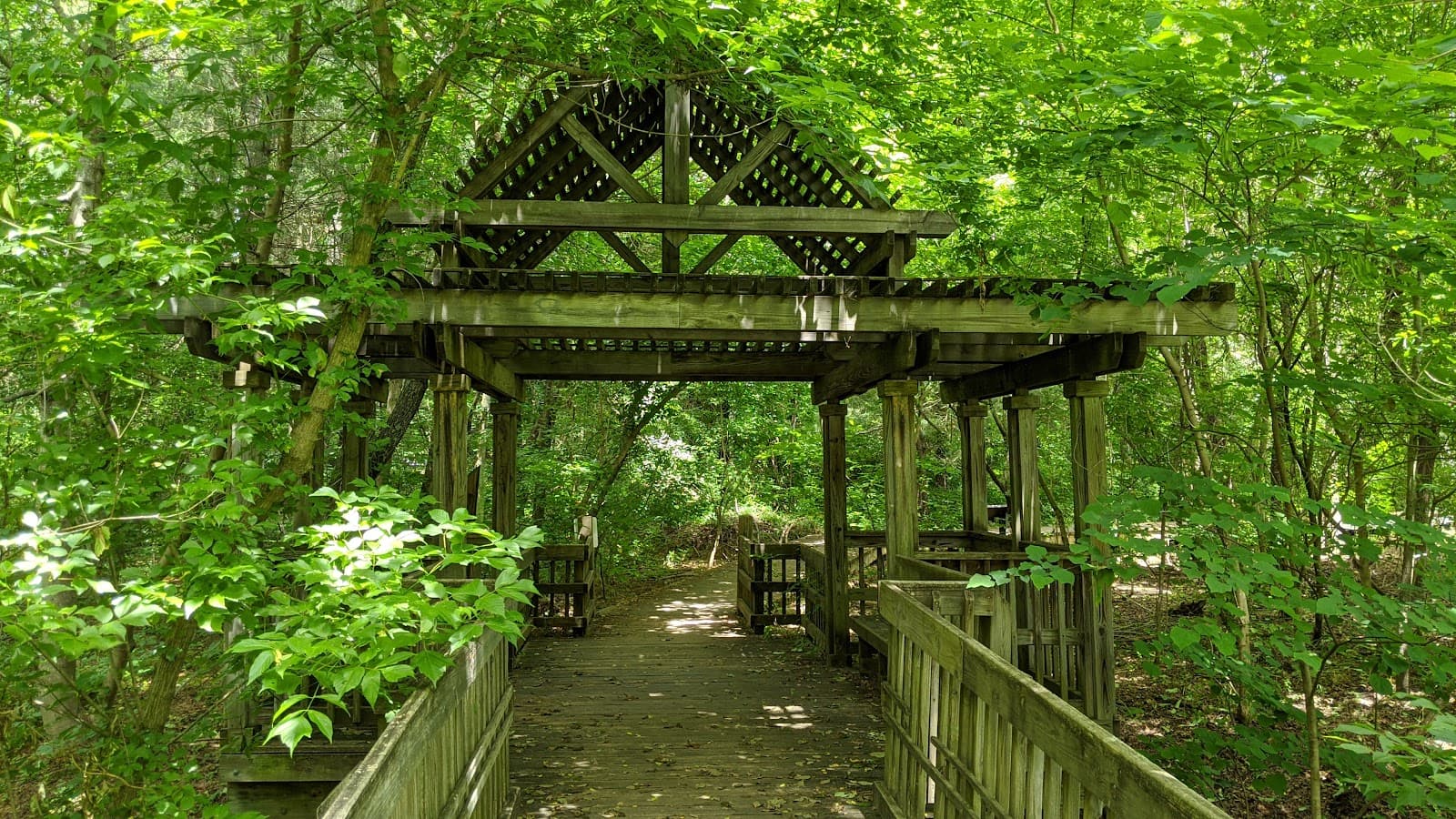 Beaver Lake Bird Sanctuary - Image 1