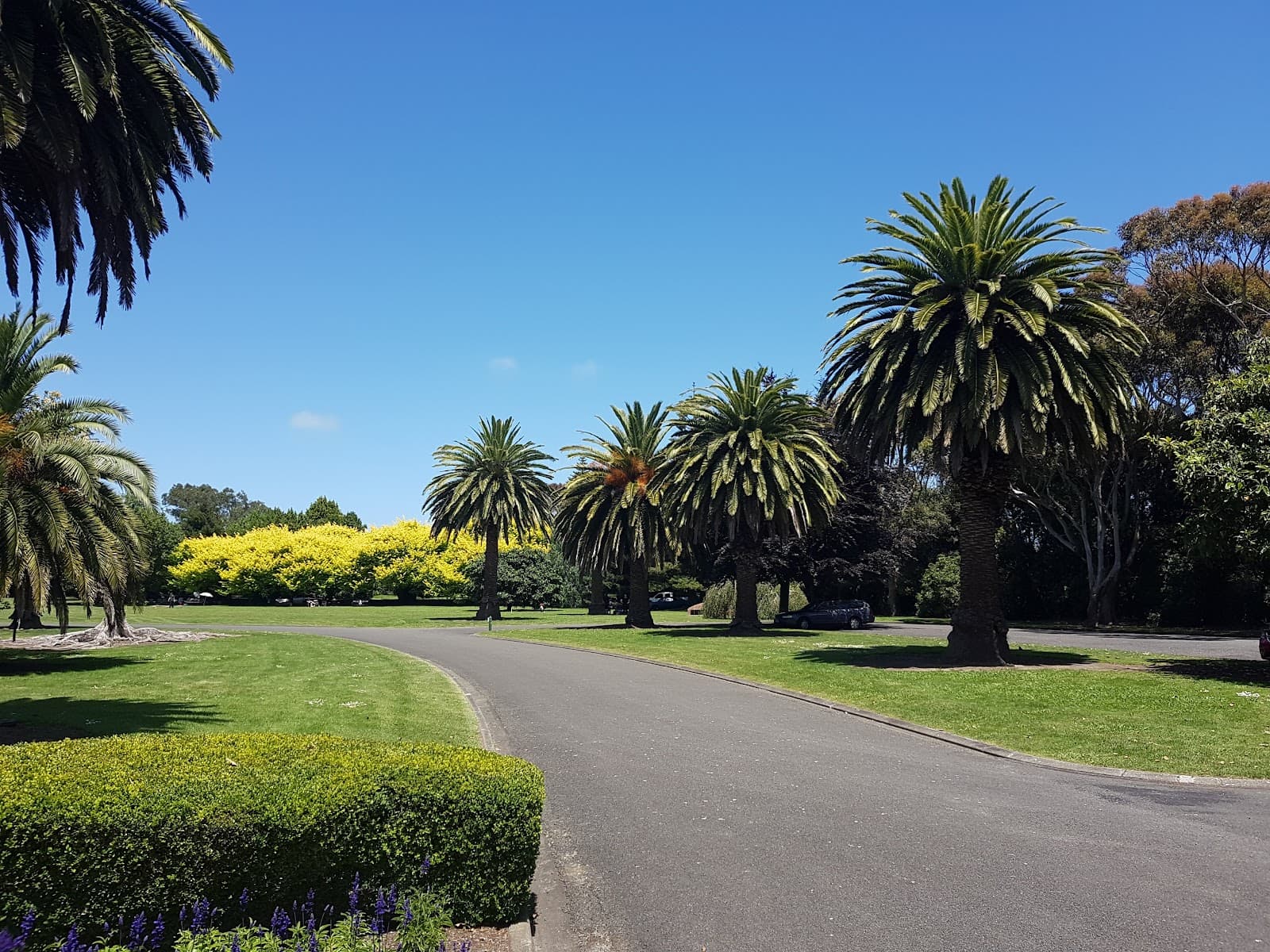 Bason Botanic Gardens - Image 1
