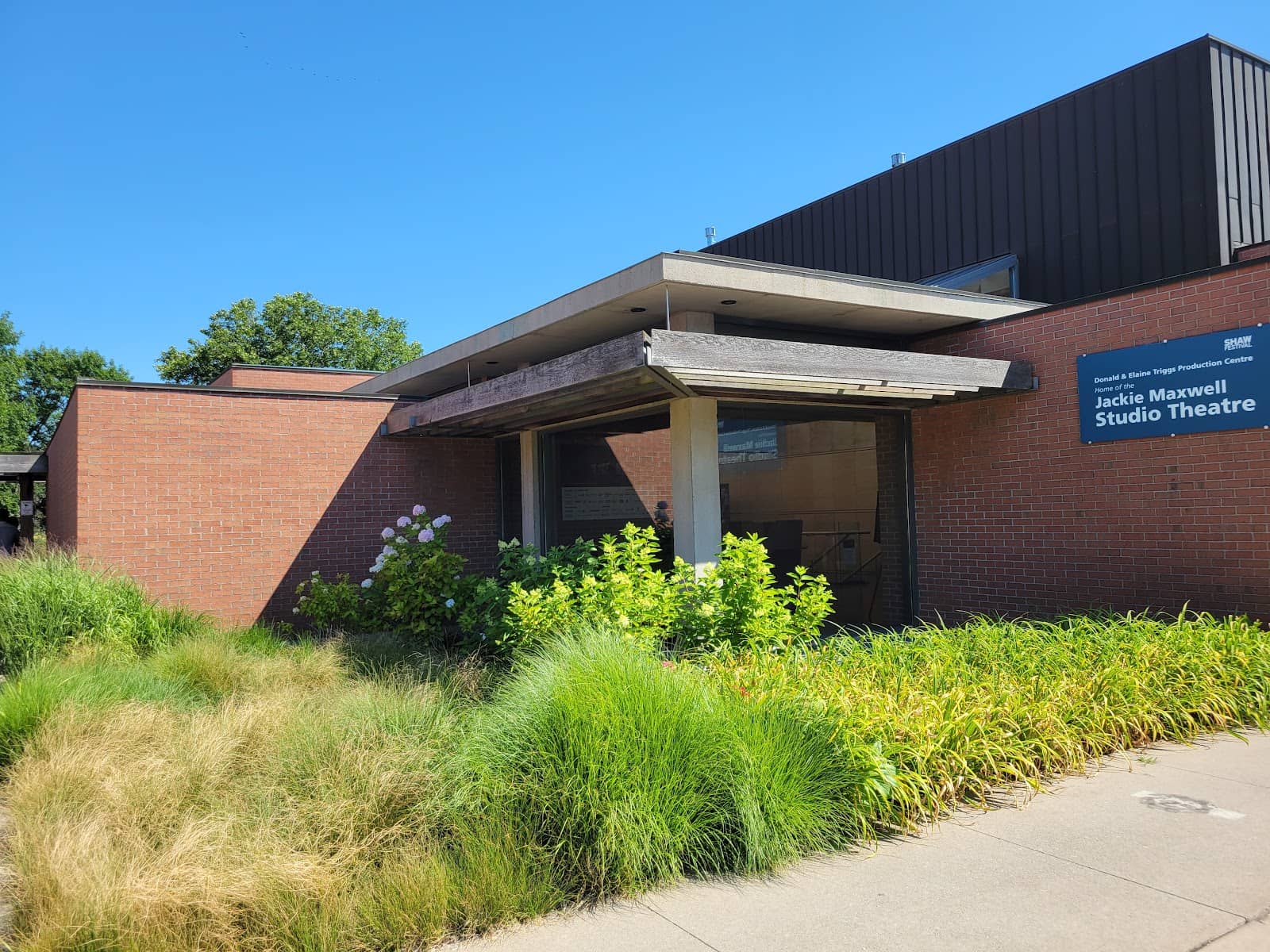 Diverse and Quirky Productions