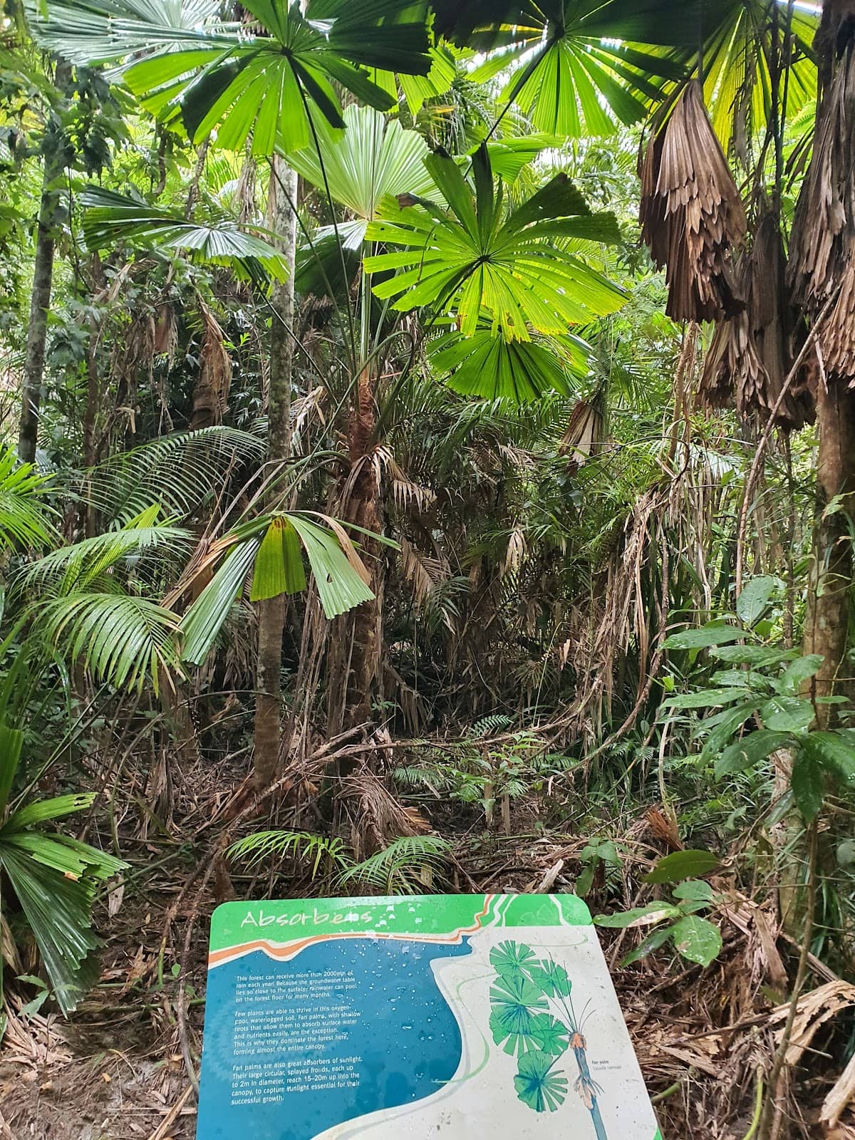 Vertical photo