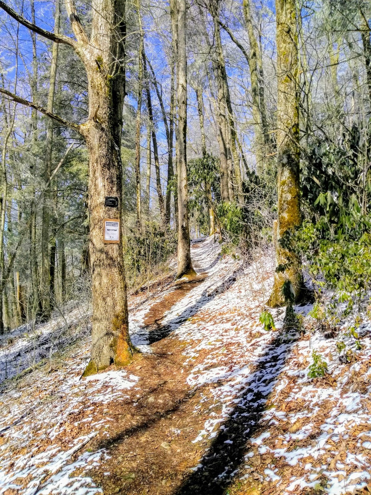 Indian Grave Gap (AT) - Image 1