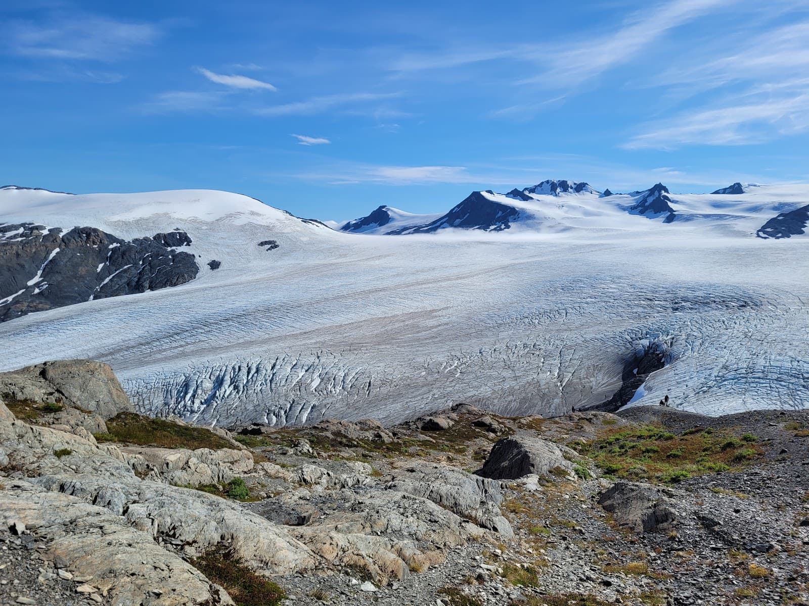 Harding Icefield - Image 1