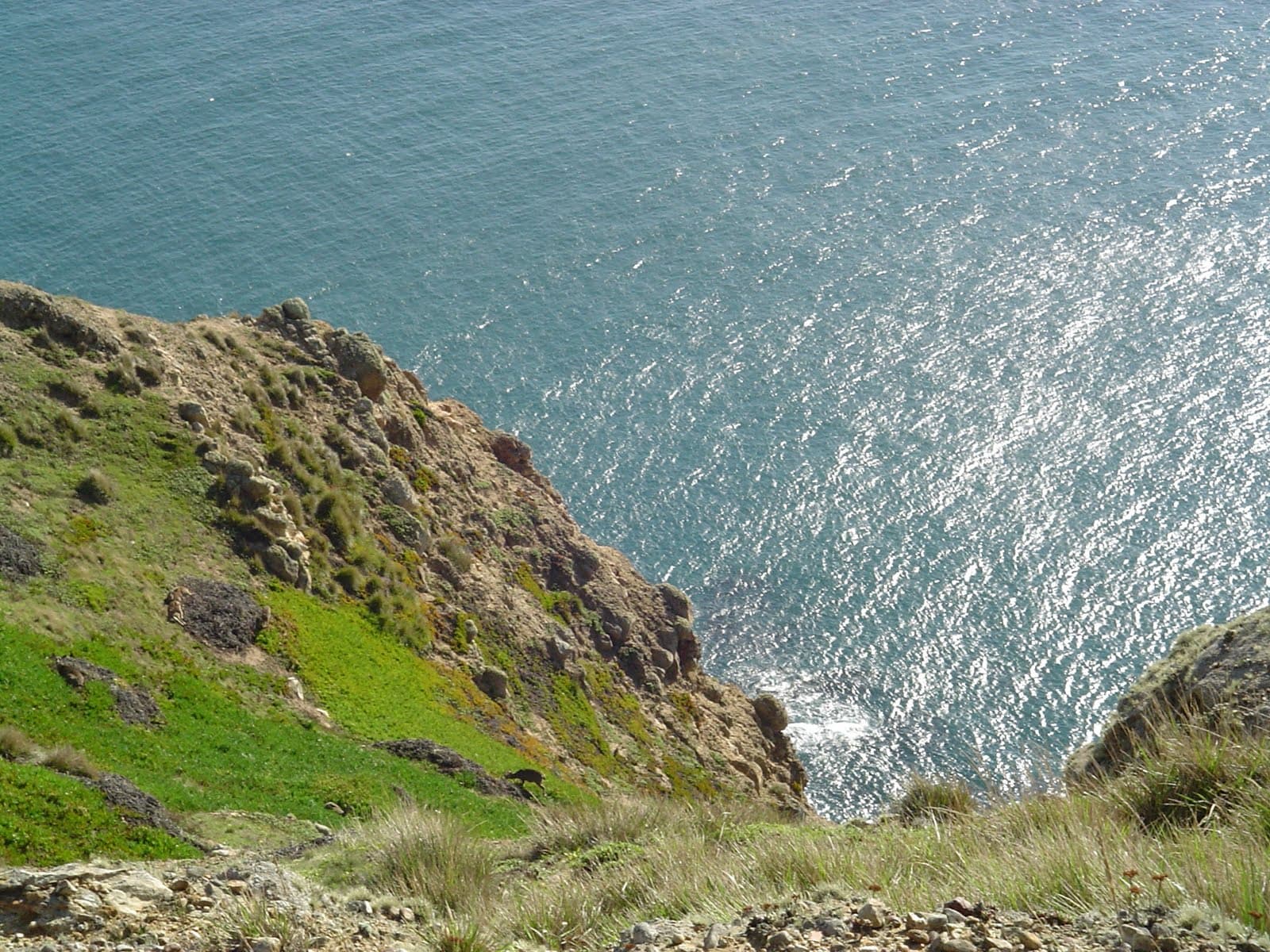 Mount Vision - Image 1