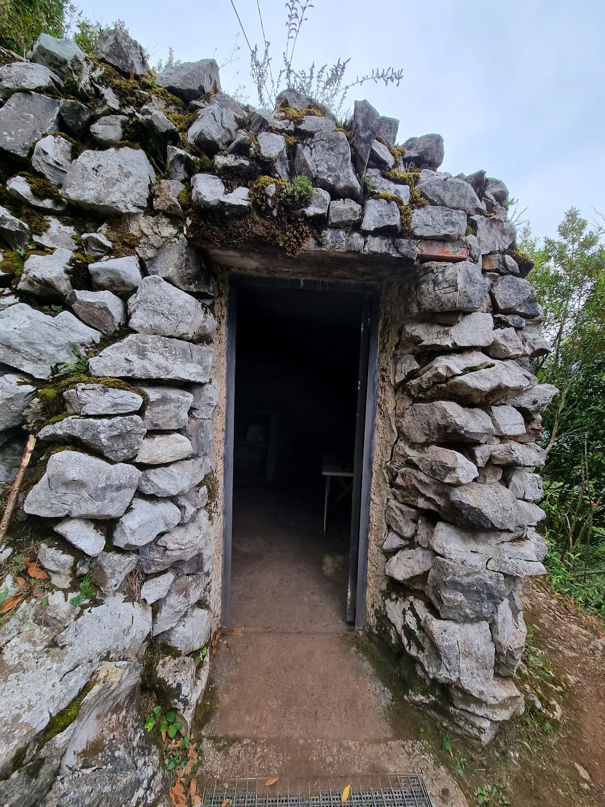 Candamo Cave - Image 1