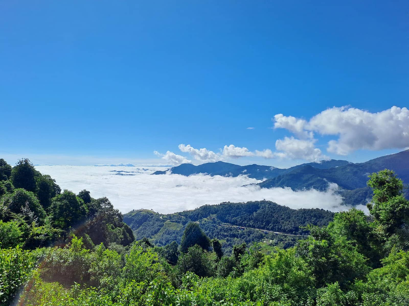 Post-Hike Restaurant