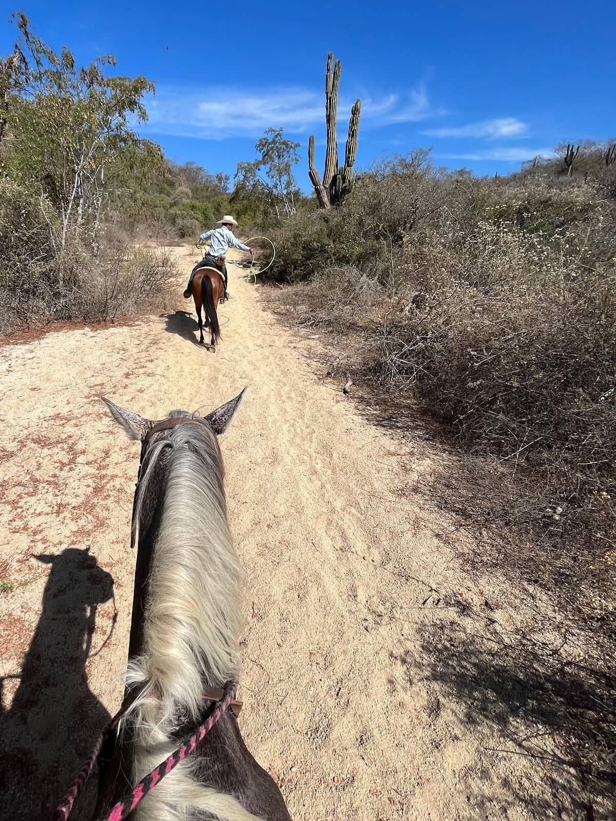 Private Trail Rides