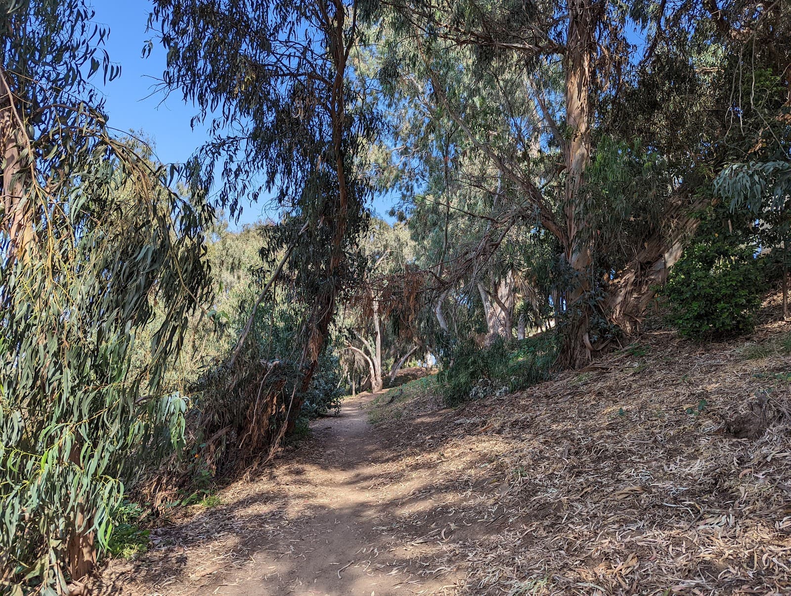 Gum Grove Park - Image 1