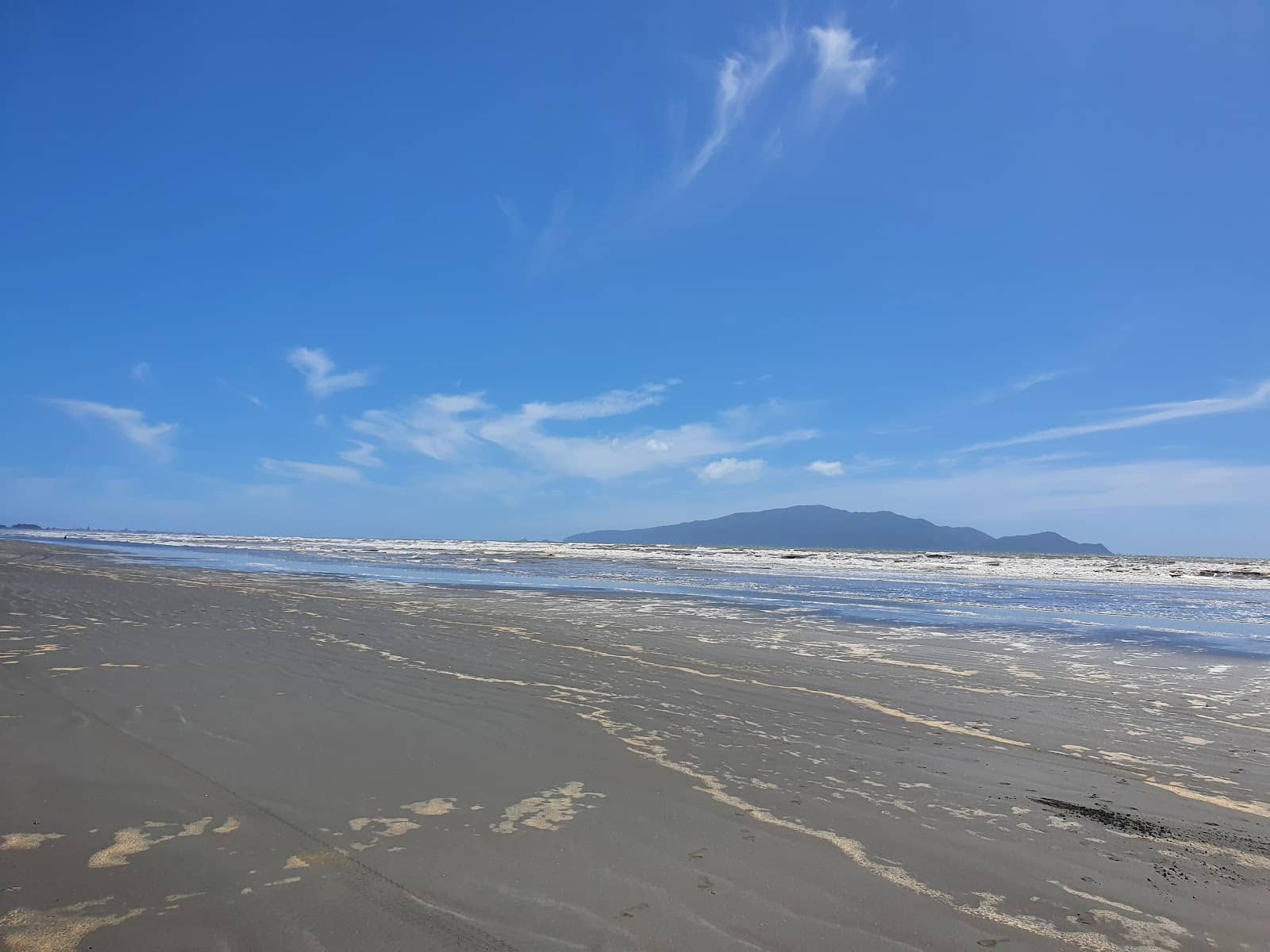 Dog-Friendly Paradise