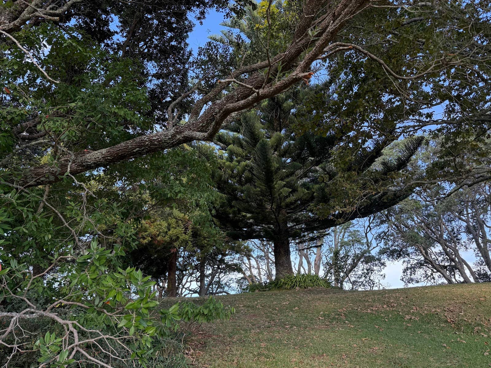 Vertical photo