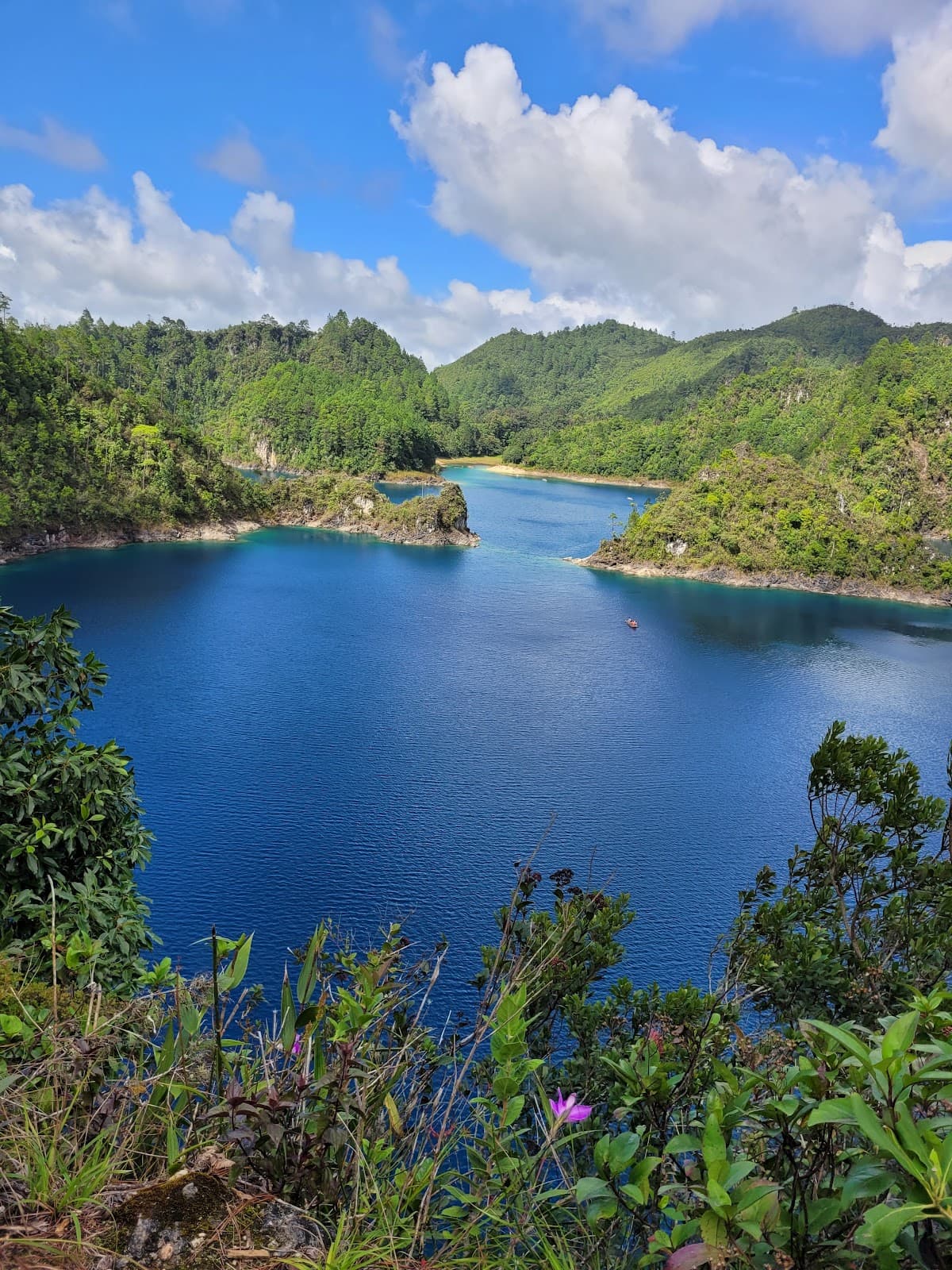 Cinco Lagos - Image 1