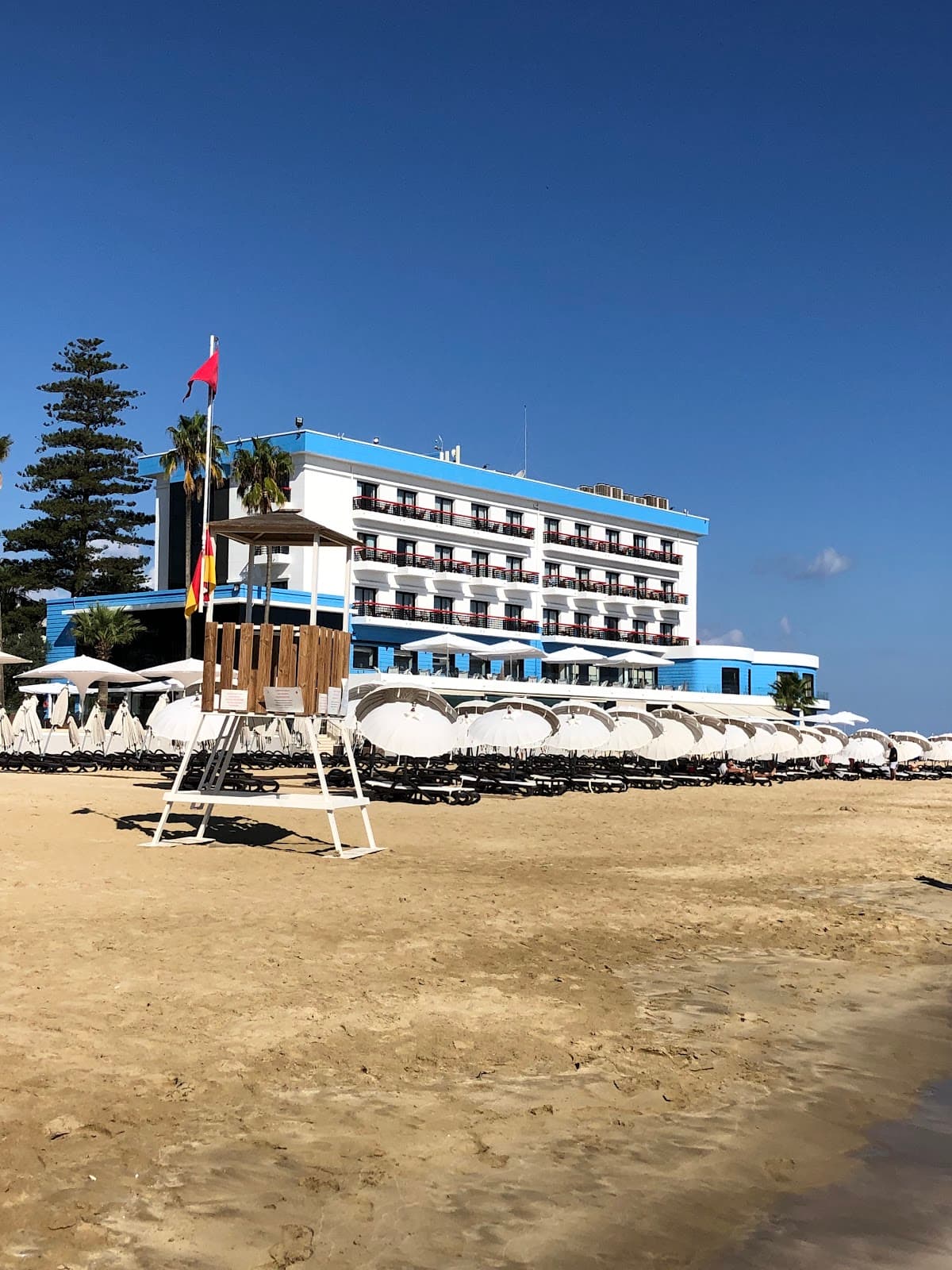 Palm Beach - Image 1