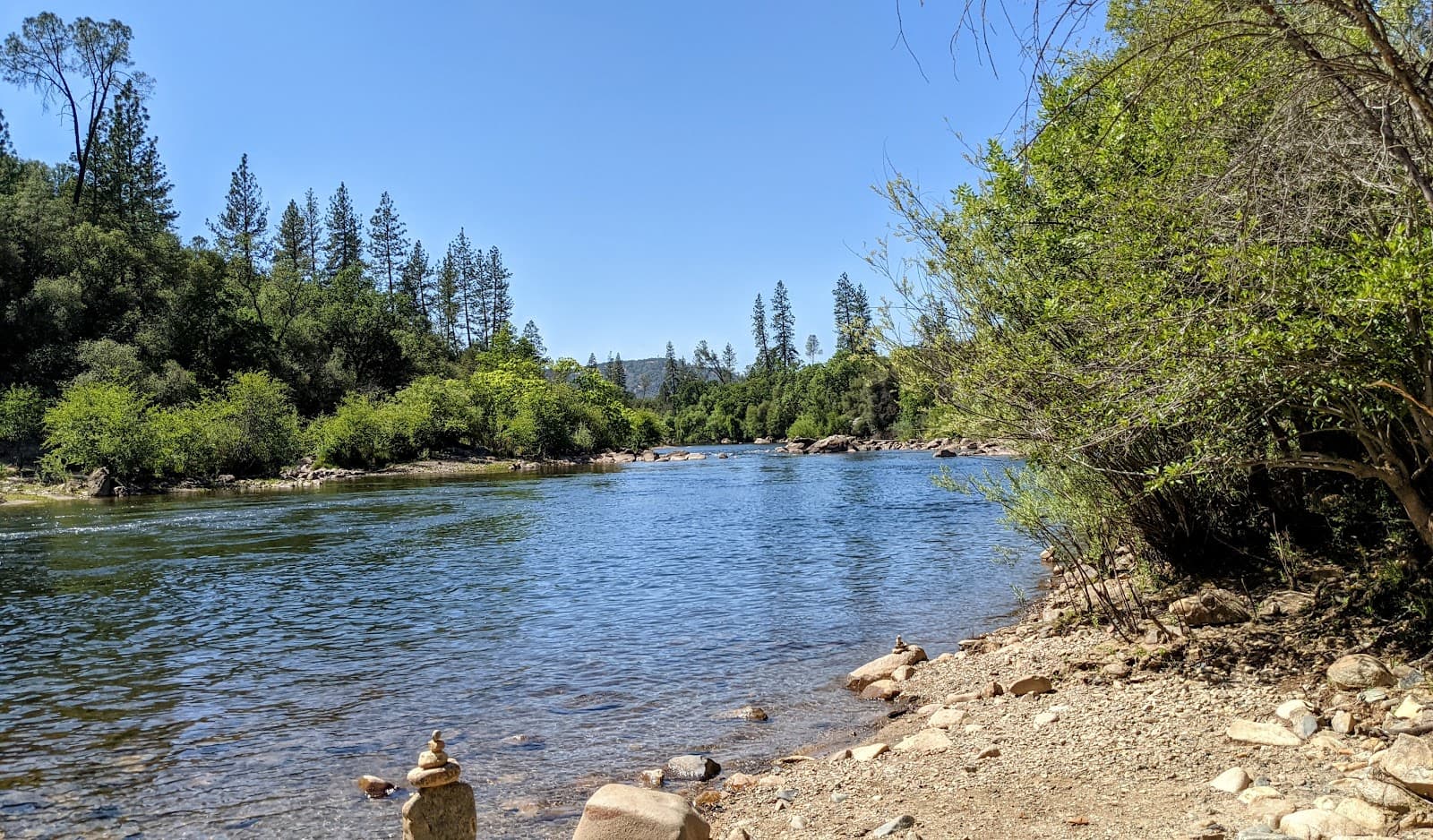 Dave Moore Nature Area - Image 1