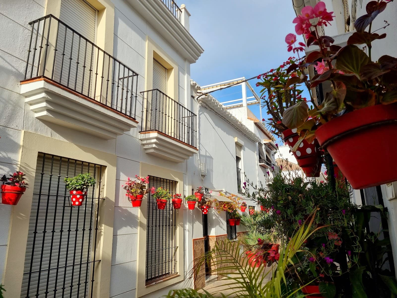 Calle Terraza - Image 1