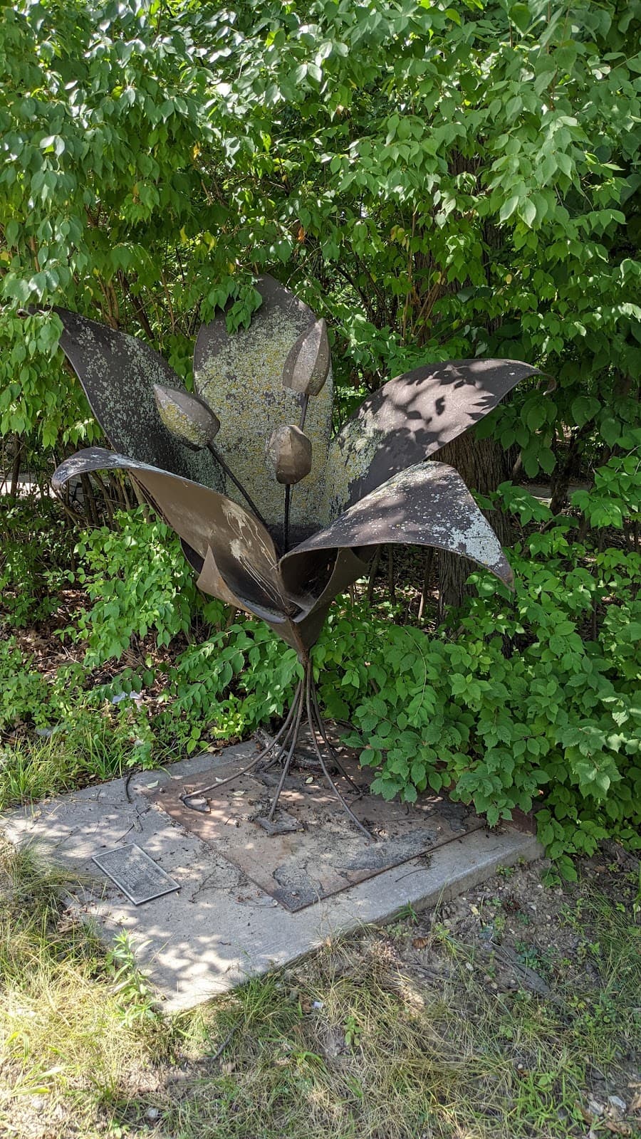 Munn Woods - Image 1