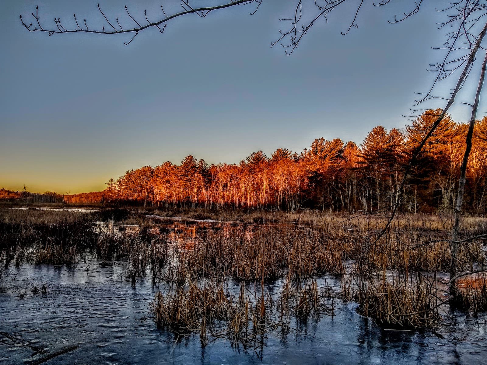 Crane Wildlife Refuge (Choate Island) - Image 1