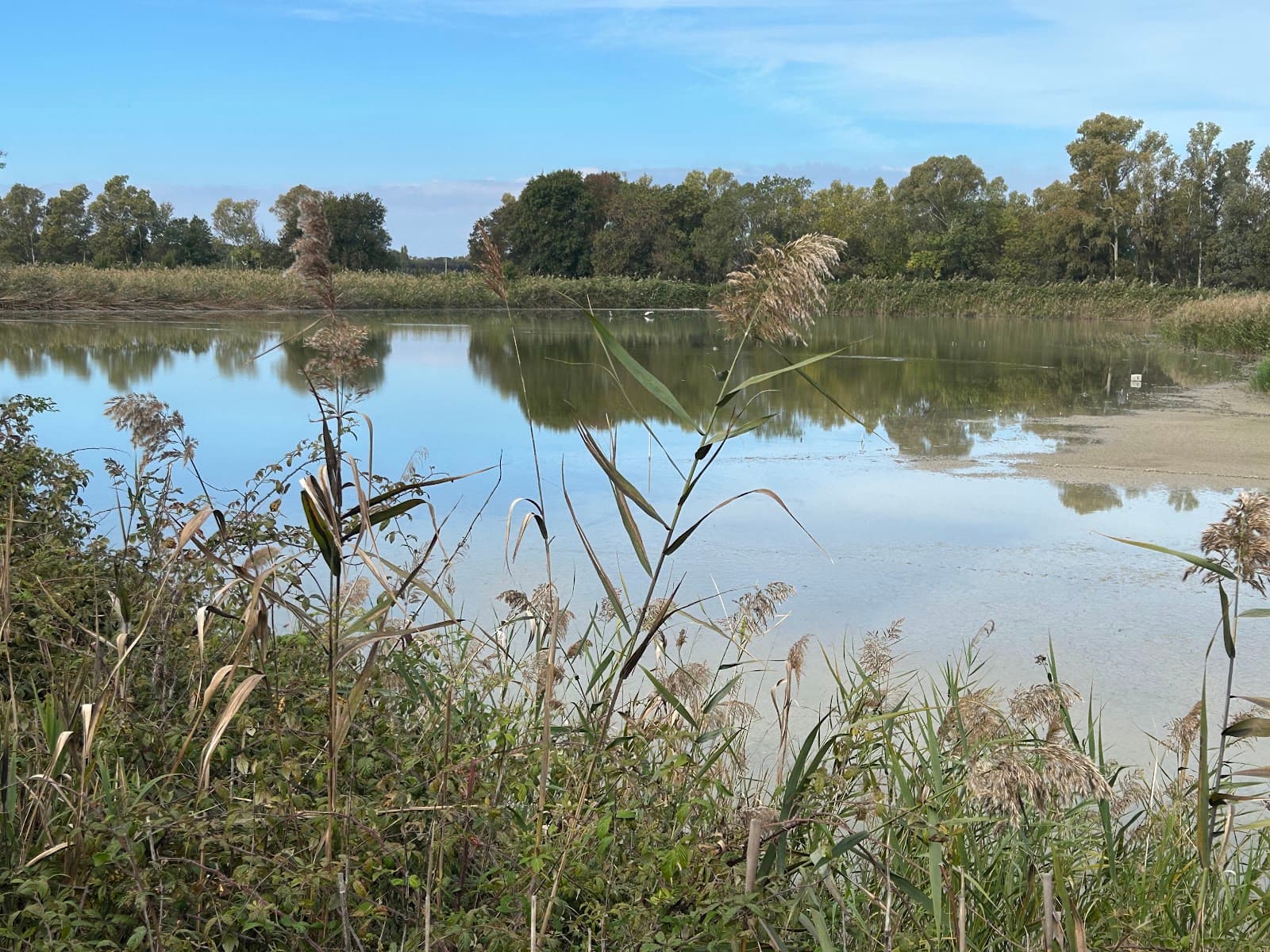 Vasche di Maccarese Oasis - Image 1