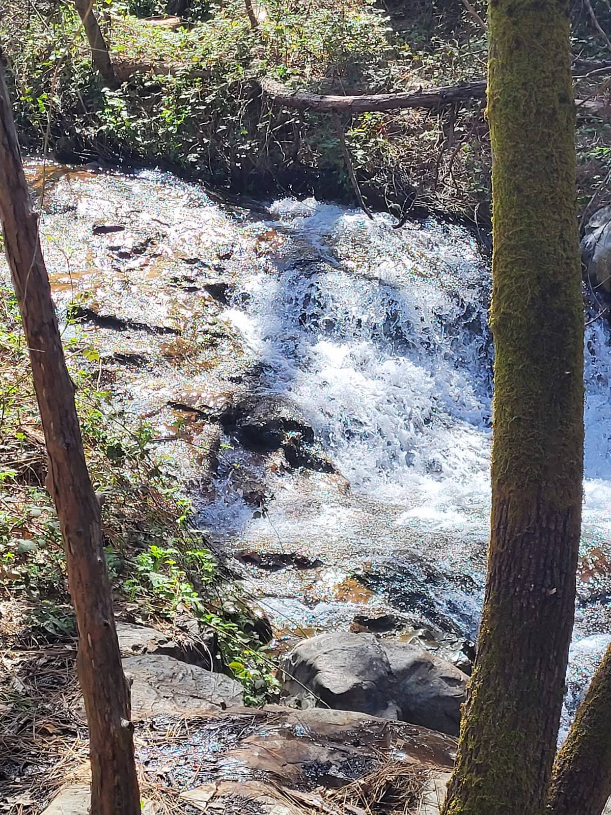 Creek Access Points