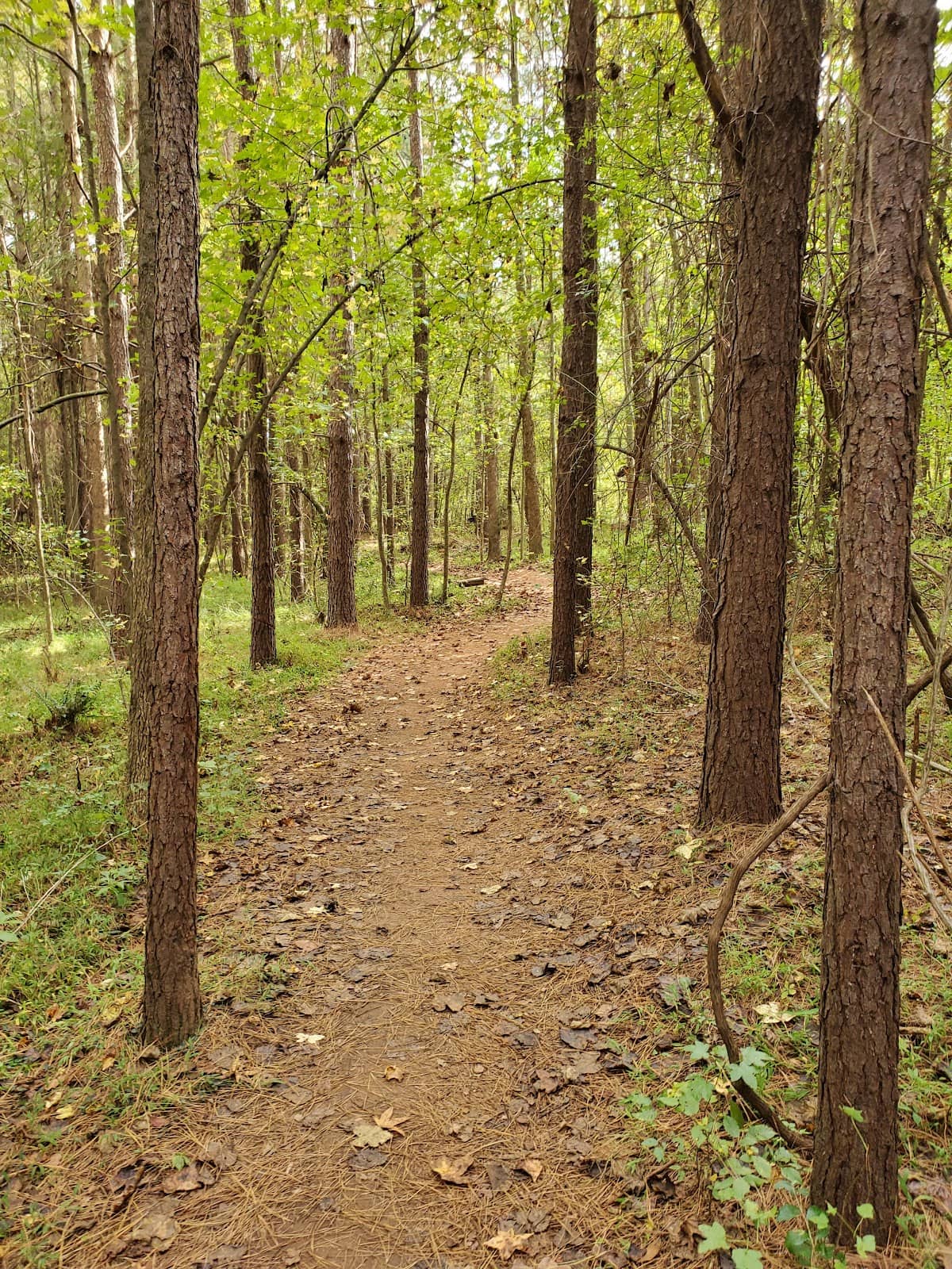 Labyrinth and Forested Paths