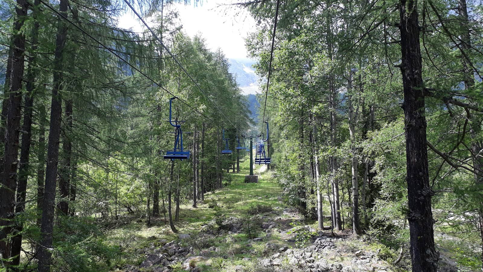Vertical photo