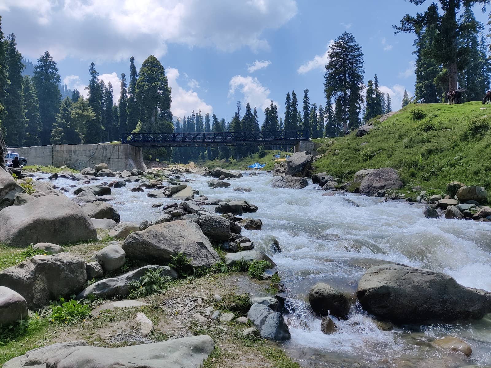 Scenic Drive