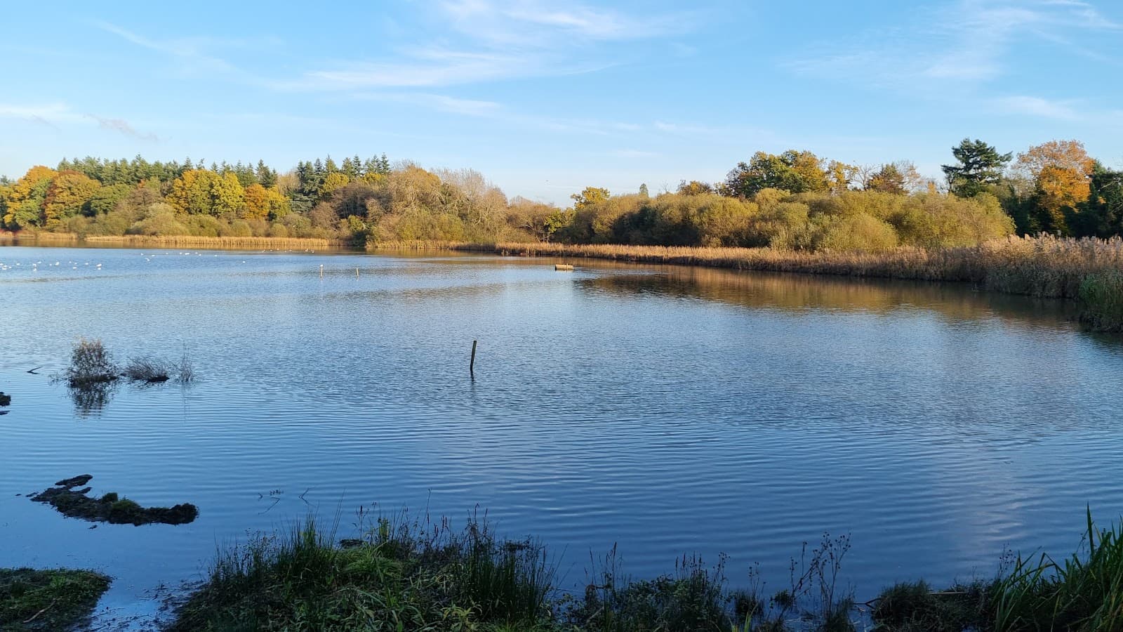 Warnham Local Nature Reserve - Image 1