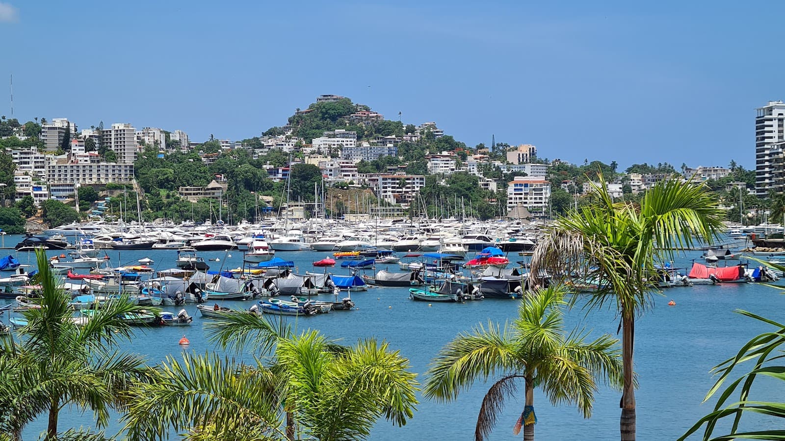 Playa Manzanillo - Image 1