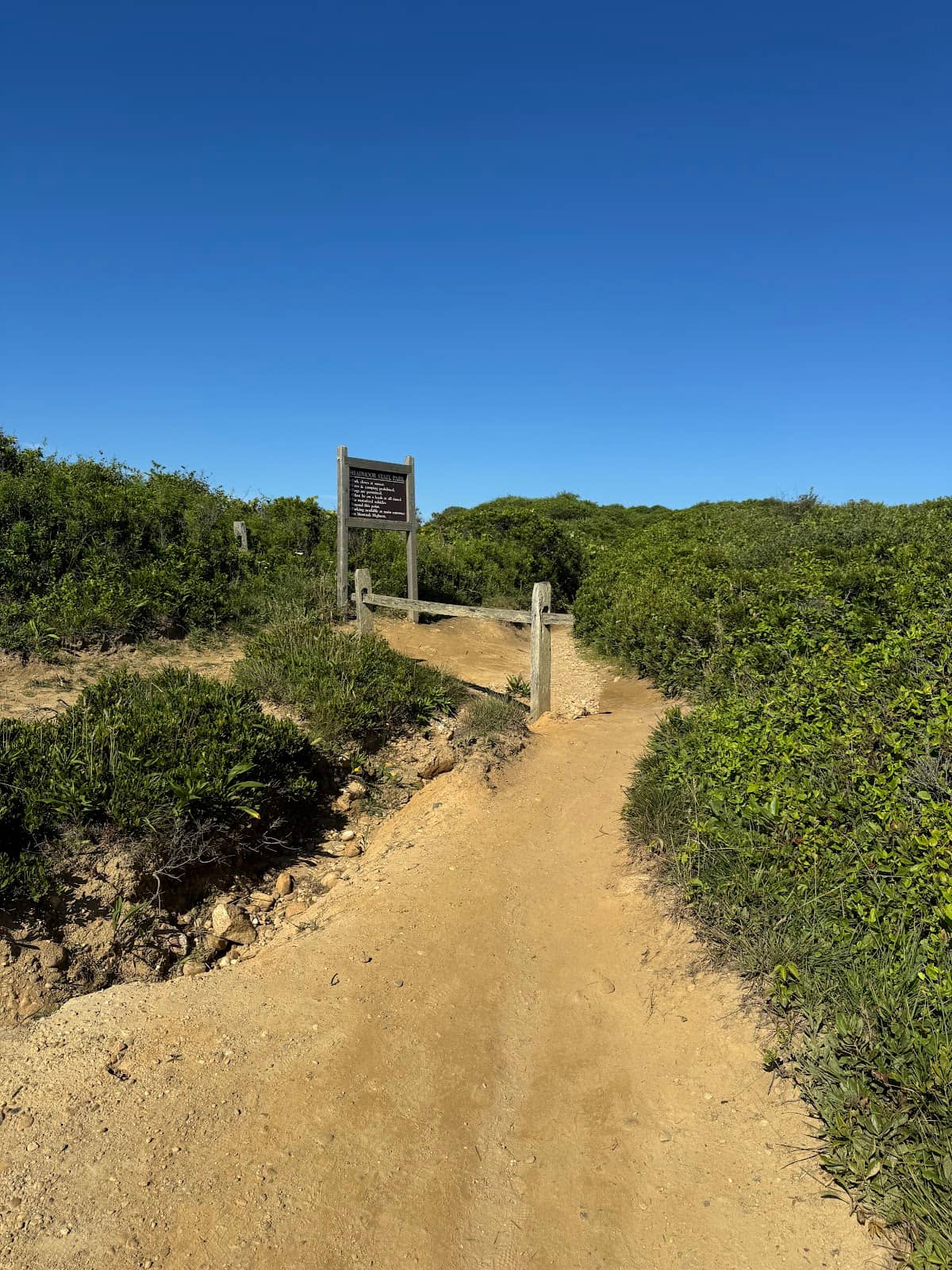 Vertical photo