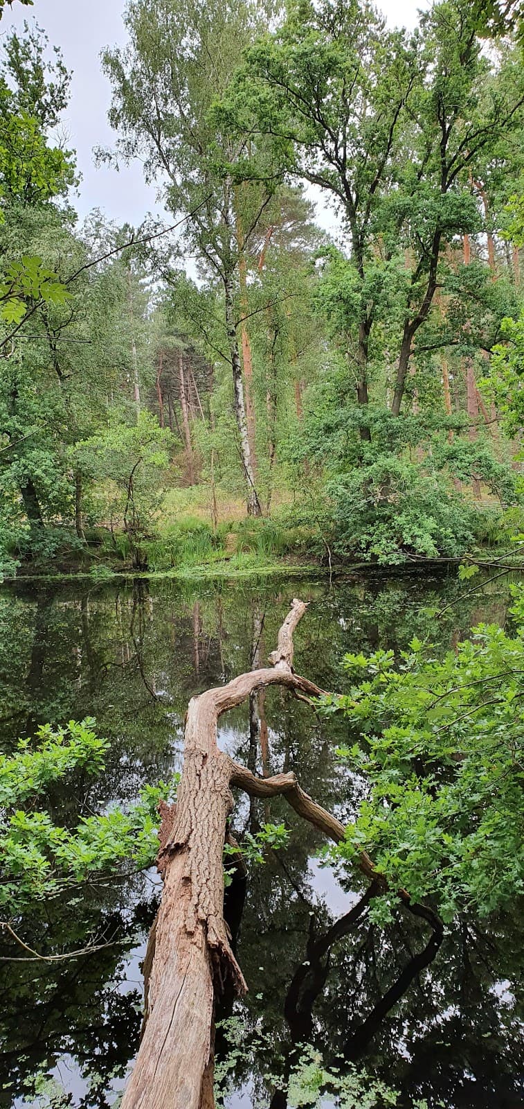Galgenwiel Lake - Image 1